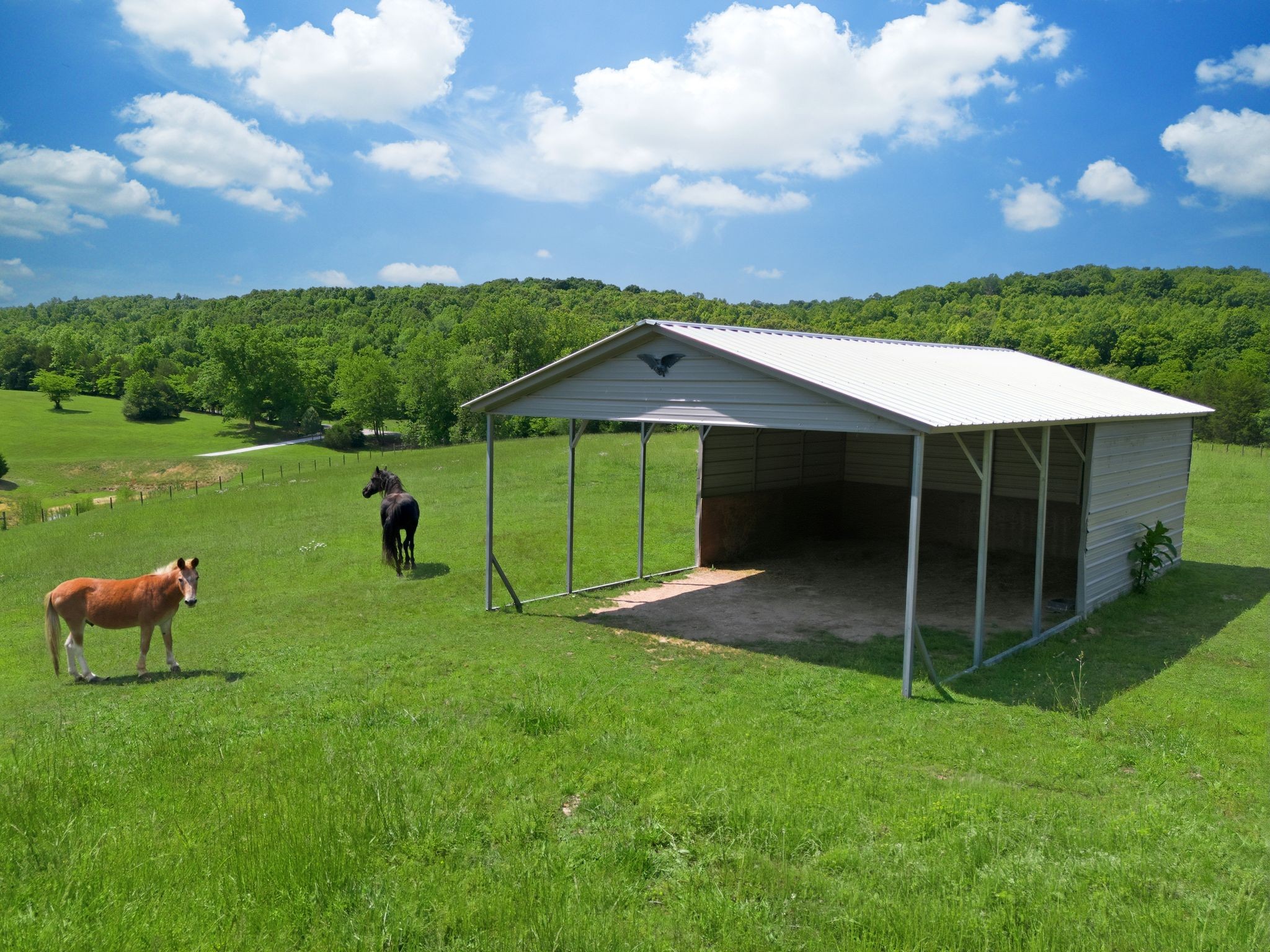 1732 Cedar Creek Road Vanleer, TN 37181 - Photo 60 of 95