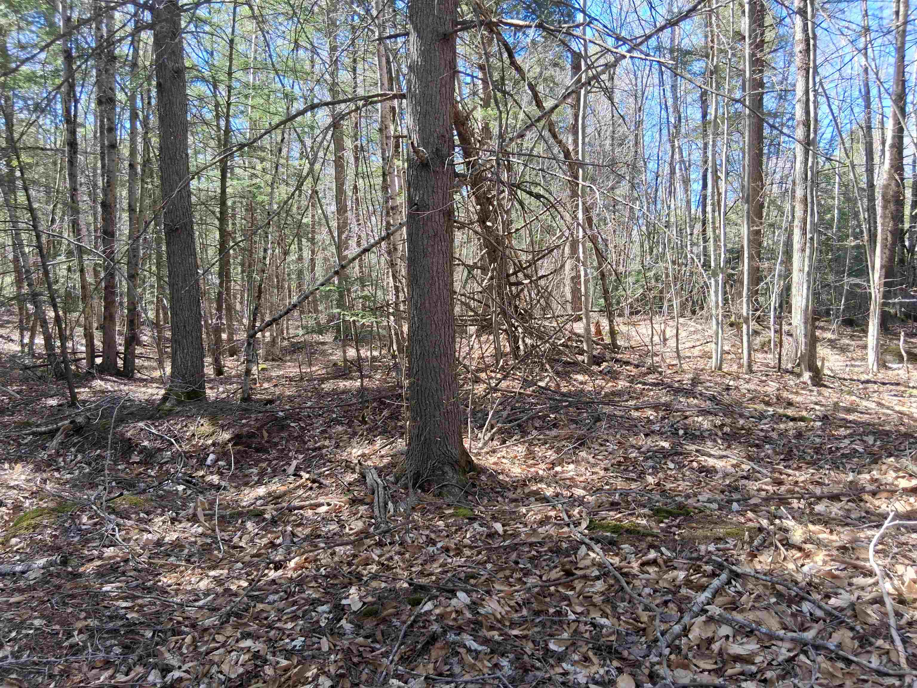 Lot 332 Nicola Road Middleton, NH 03887 - Photo 4 of 10