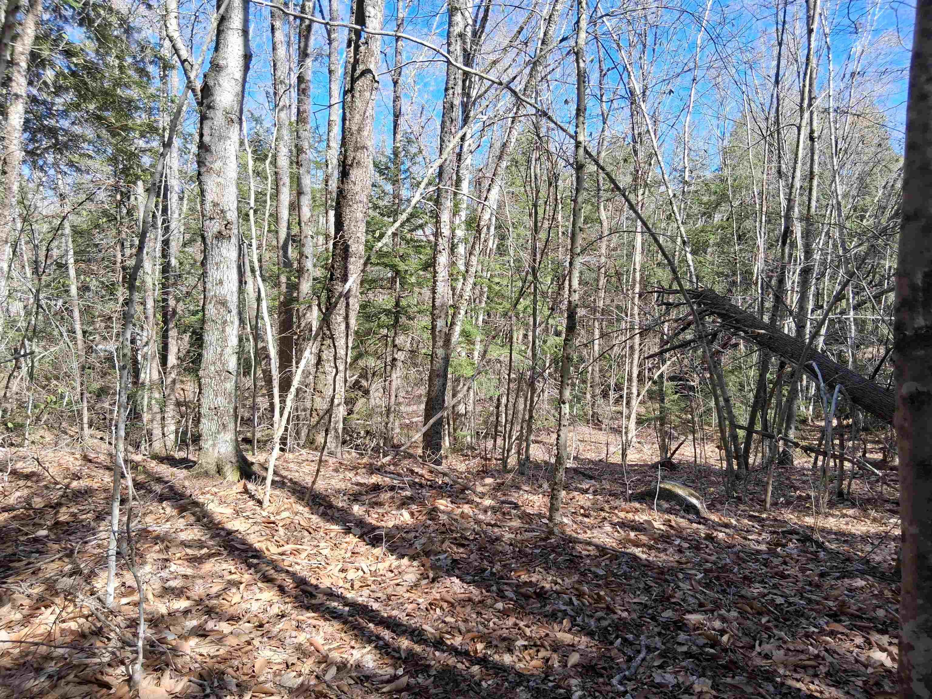 Lot 332 Nicola Road Middleton, NH 03887 - Photo 5 of 10