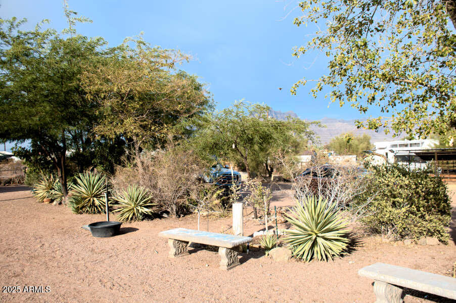 200 North Tomahawk Road Apache Junction, AZ 85119 - Photo 7 of 56 an aerial view of a swimming pool with lawn chairs and plants