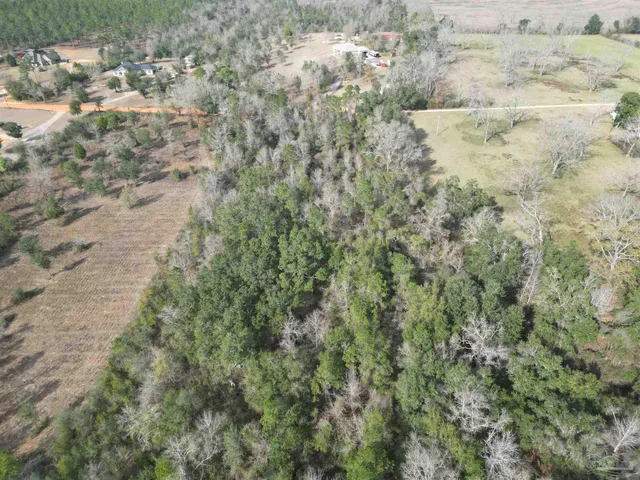 a view of a field with trees in the background