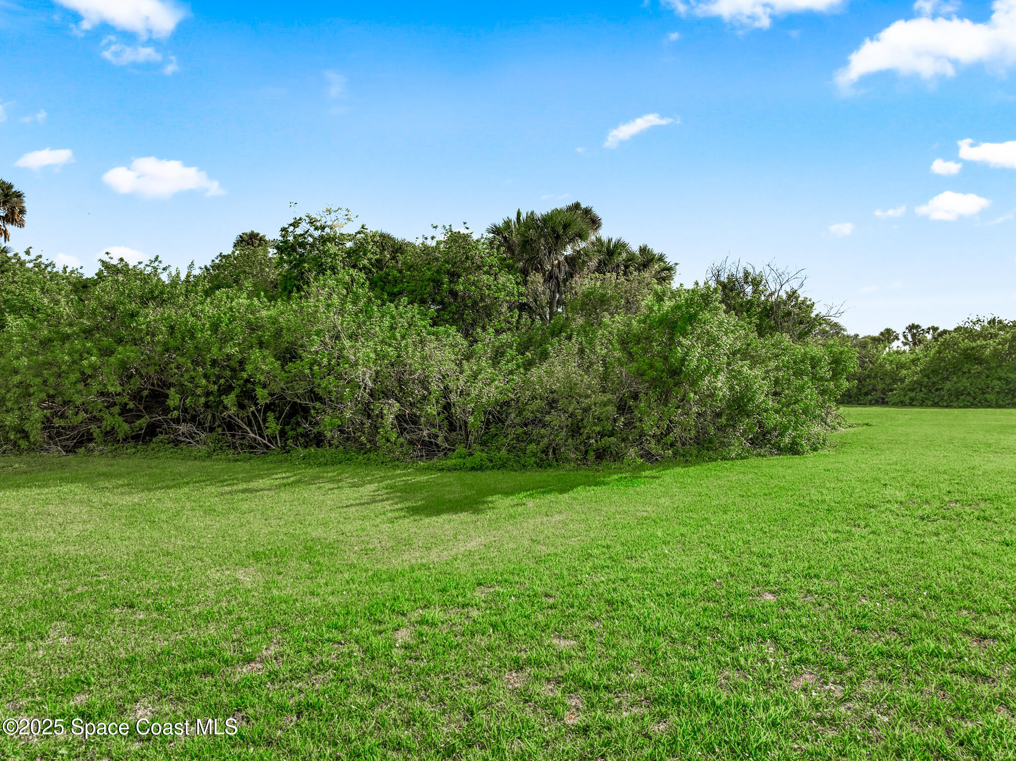 0 South John Rodes Boulevard Melbourne, FL 32934 - Photo 11 of 14 a view of a big yard with a house in the background