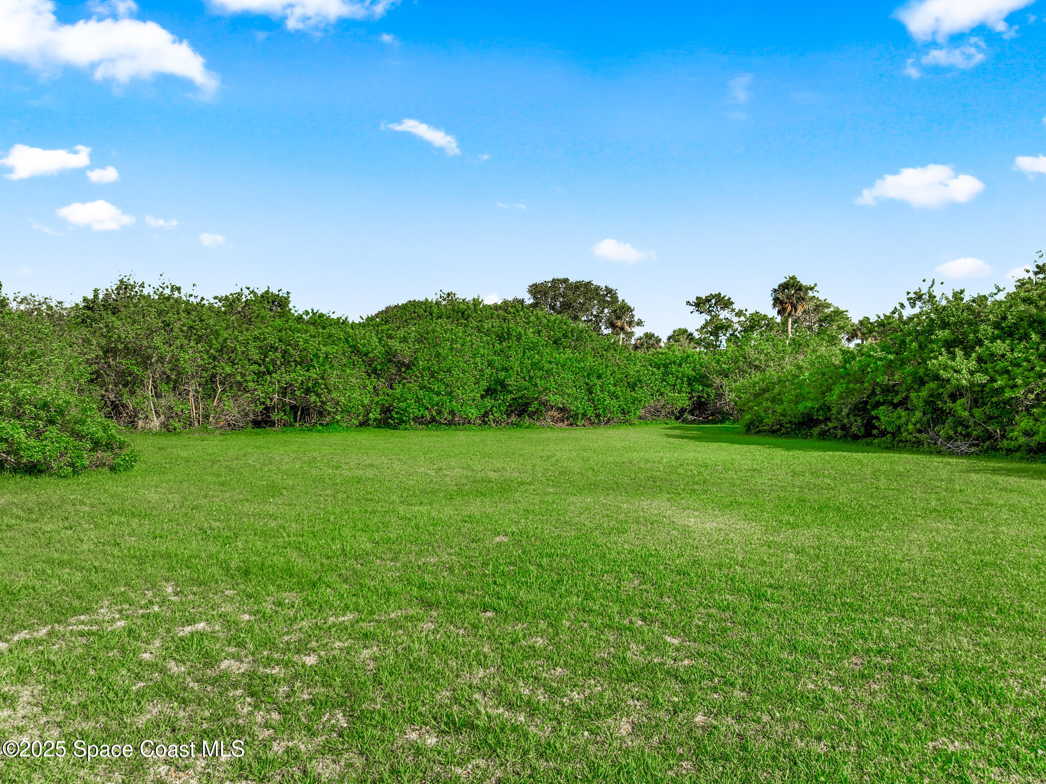 0 South John Rodes Boulevard Melbourne, FL 32934 - Photo 10 of 14 a backyard of a house with lots of green space and mountain view