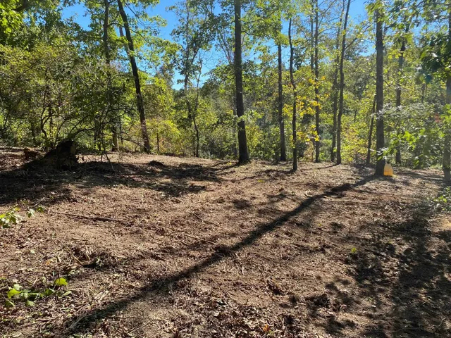 a view of a yard with plants and trees