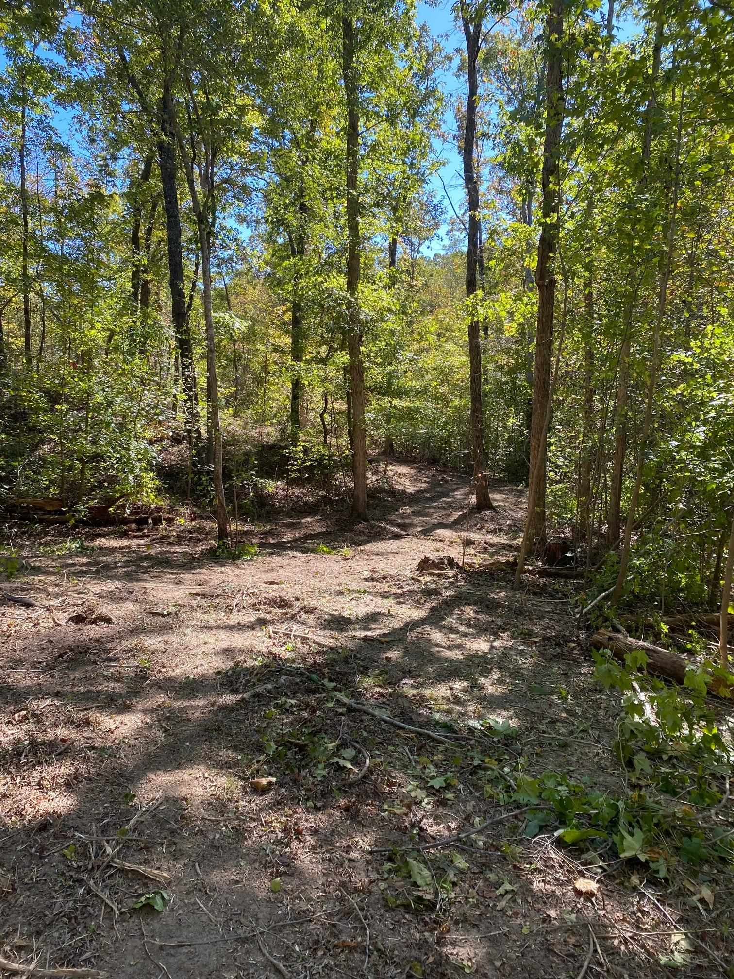 Hughes Road Henderson, TN 38340 - Photo 2 of 8 a backyard of a house with lots of green space