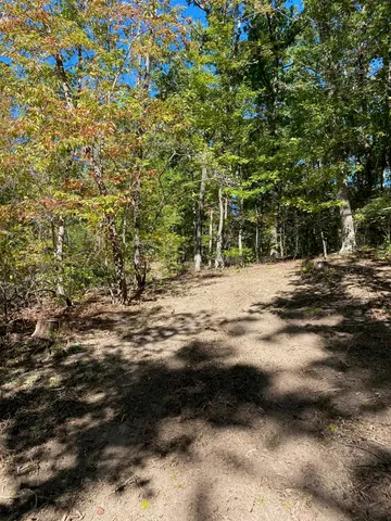 a view of road with trees
