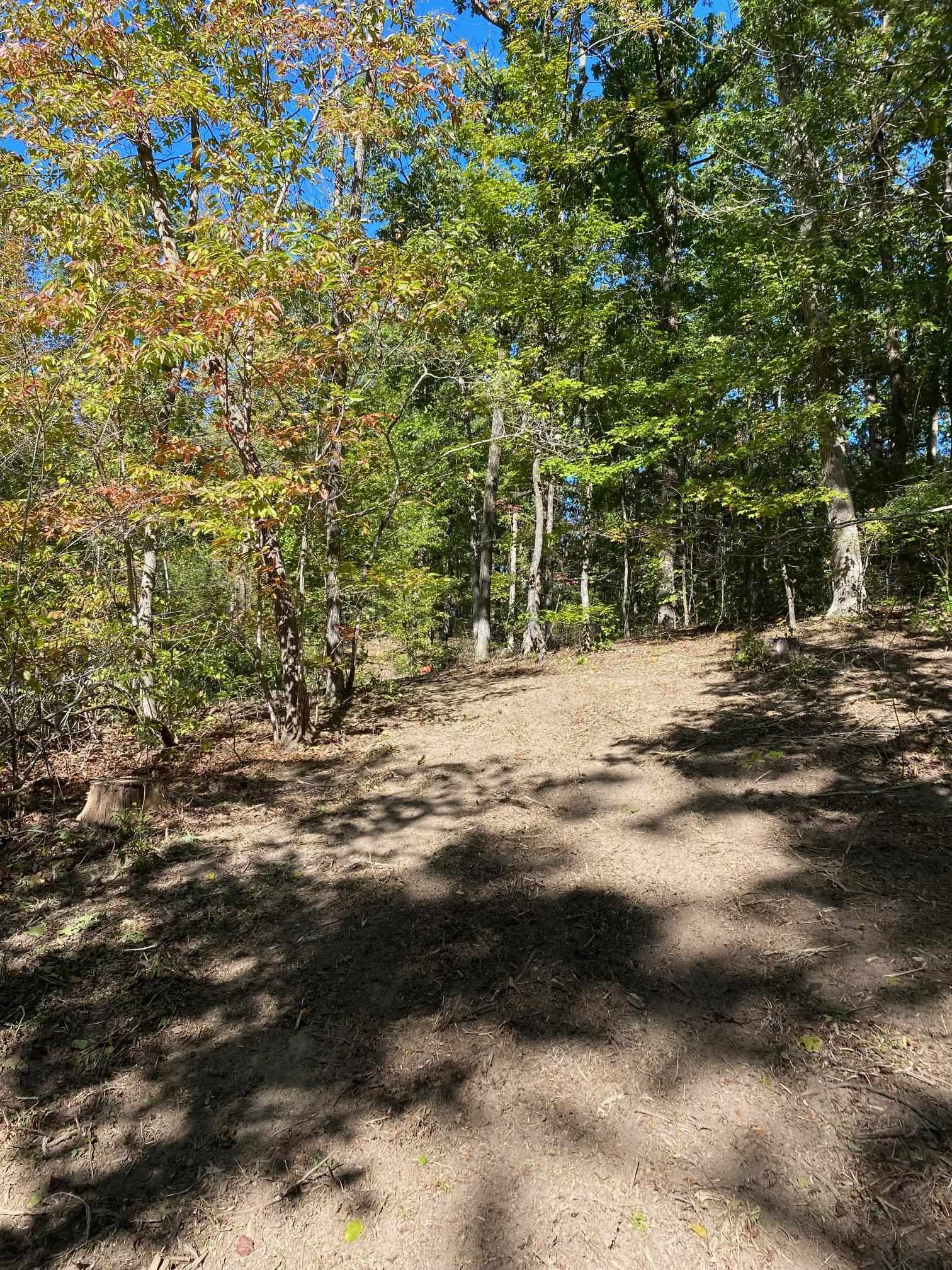 Hughes Road Henderson, TN 38340 - Photo 3 of 8 a view of road with trees