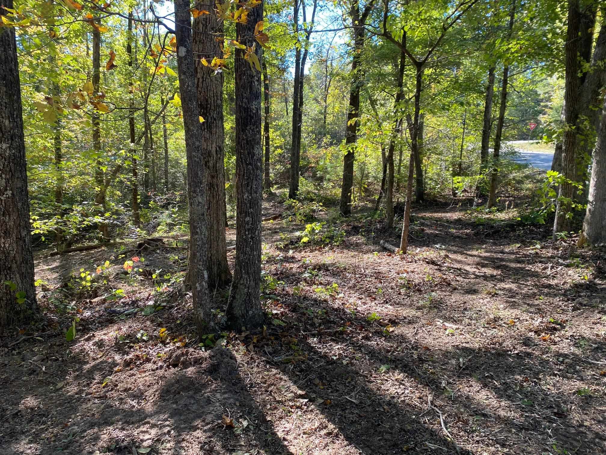 Hughes Road Henderson, TN 38340 - Photo 5 of 8 a view of outdoor space and tree
