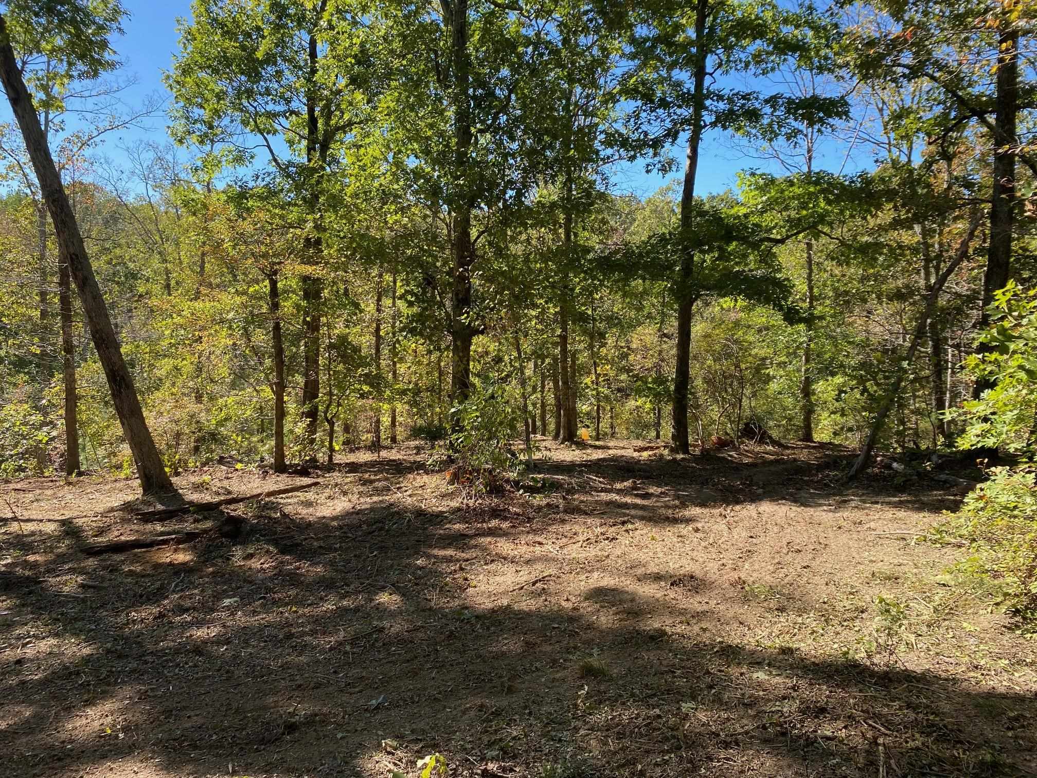 Hughes Road Henderson, TN 38340 - Photo 7 of 8 a view of a yard with plants and trees