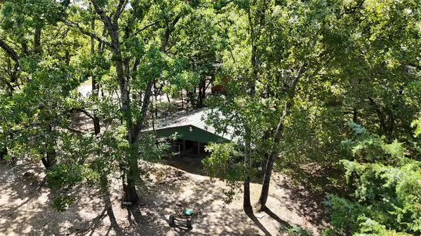 a view of a snow on a tree