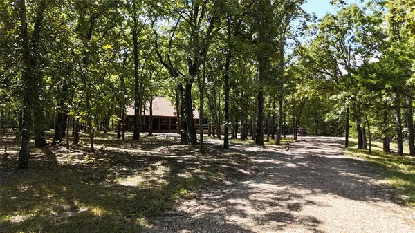 a backyard of a house with trees and houses