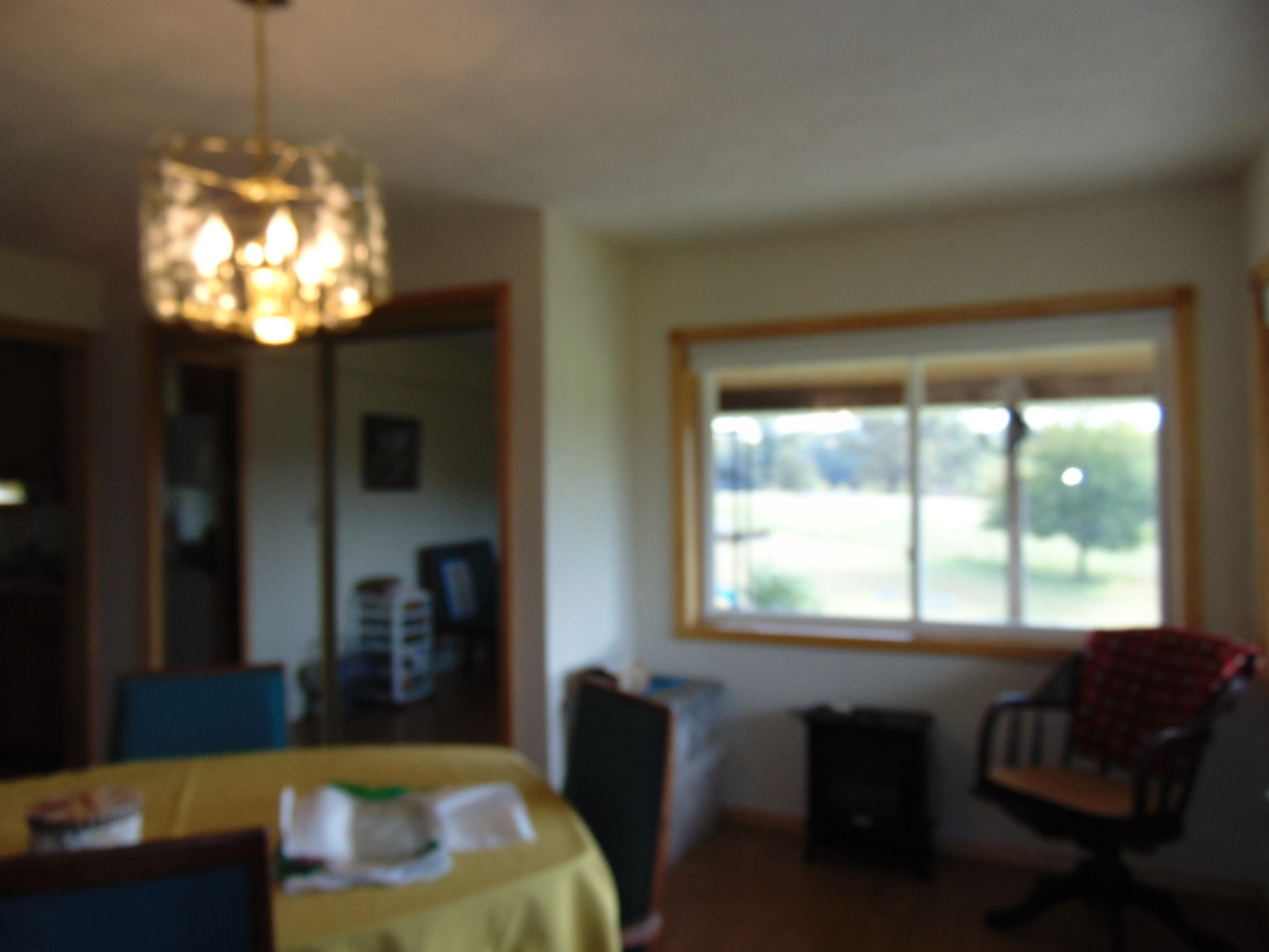 50093 Wickett Road Decatur, MI 49045 - Photo 18 of 65 DSC06443