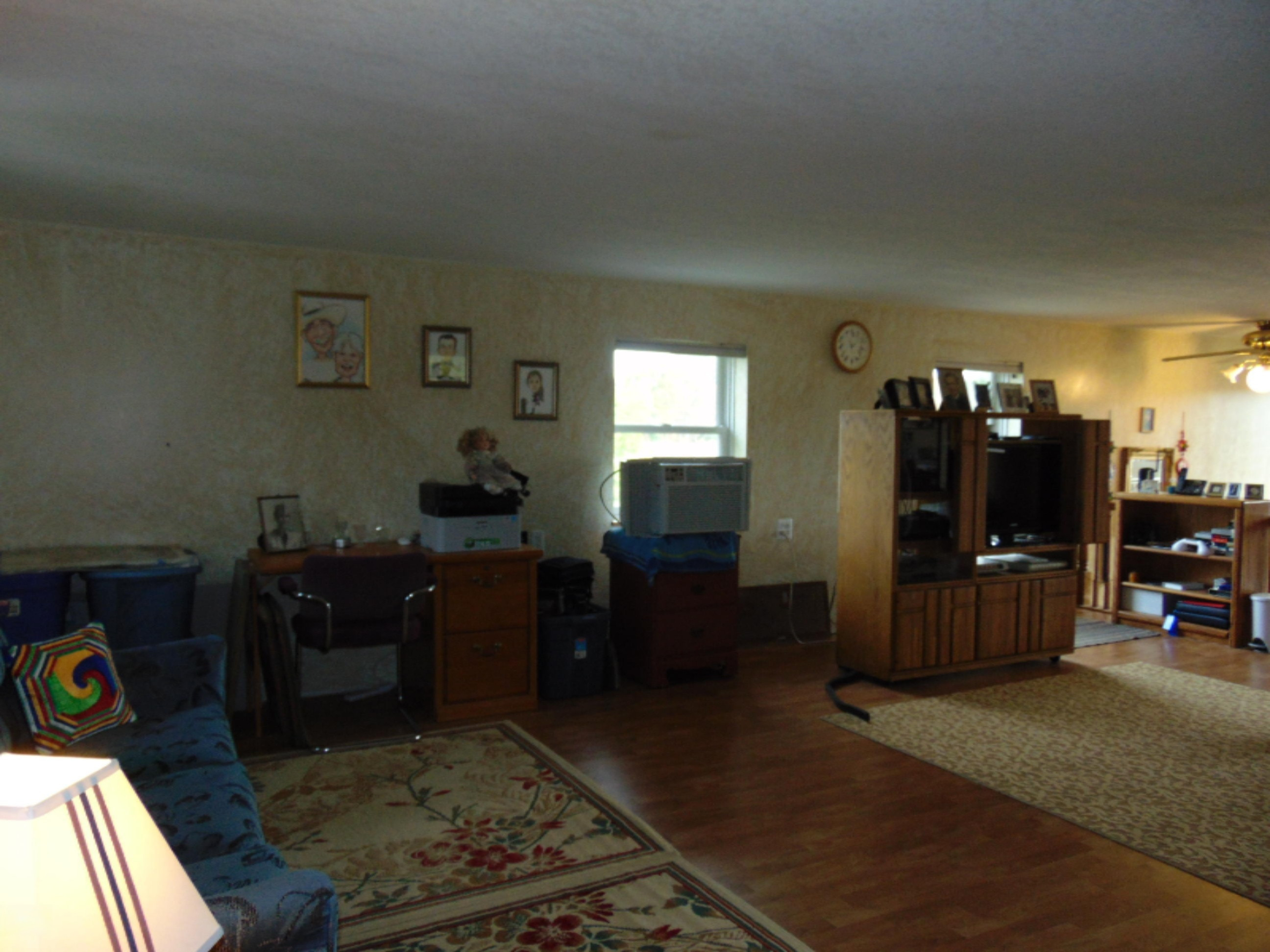 50093 Wickett Road Decatur, MI 49045 - Photo 39 of 65 DSC06483