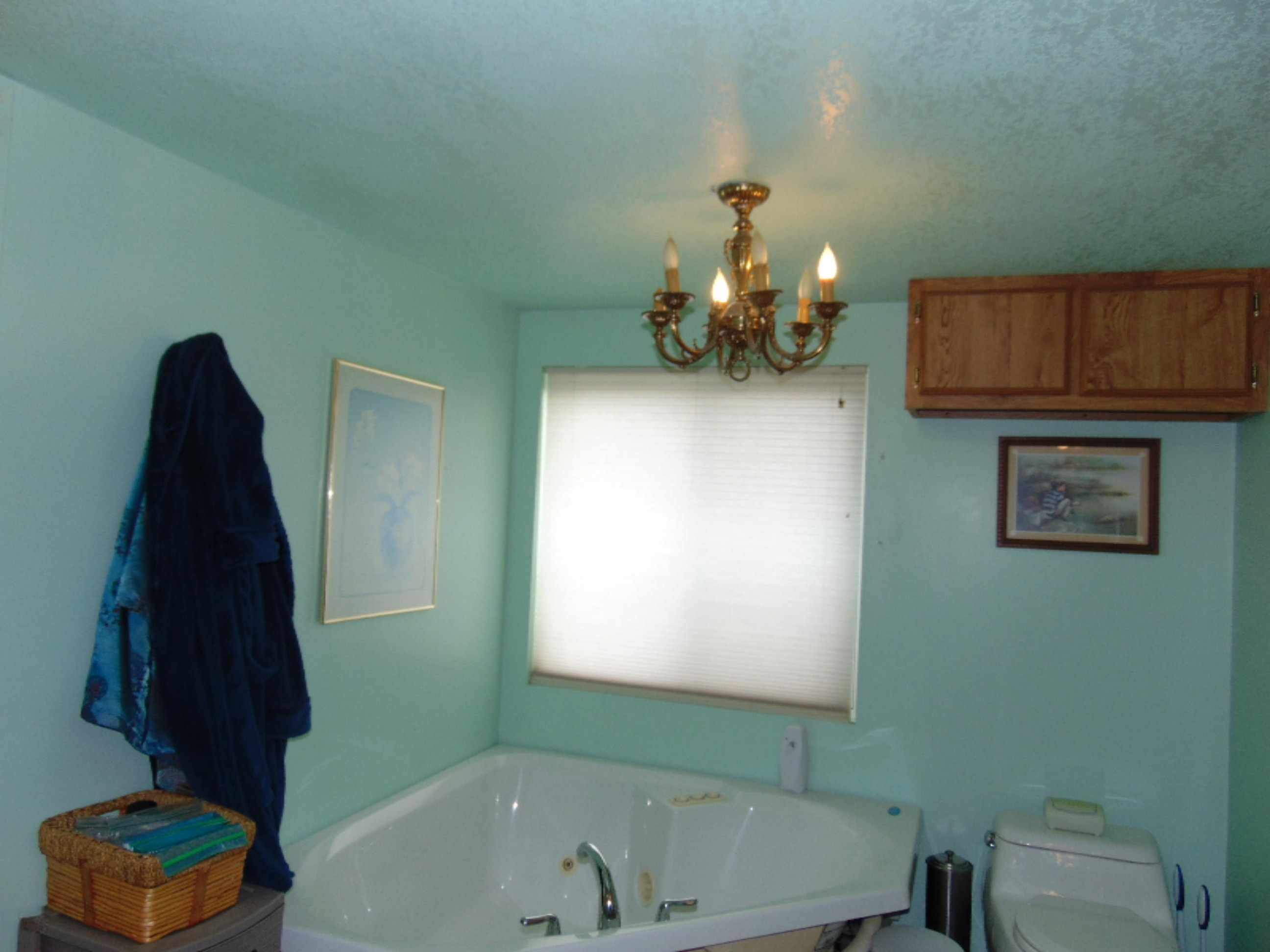 50093 Wickett Road Decatur, MI 49045 - Photo 44 of 65 DSC06492
