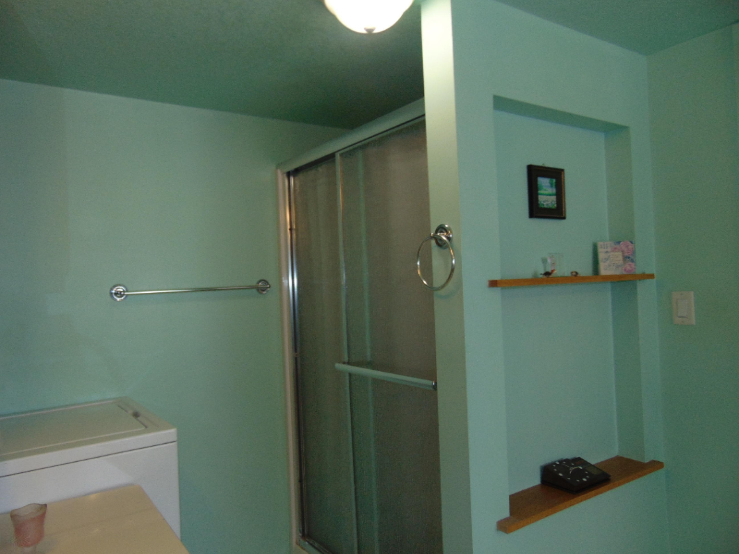 50093 Wickett Road Decatur, MI 49045 - Photo 45 of 65 DSC06493