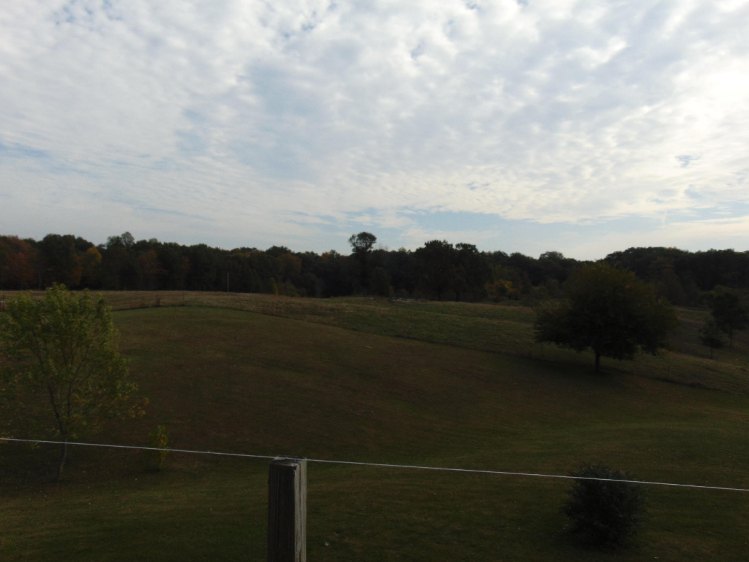 50093 Wickett Road Decatur, MI 49045 - Photo 54 of 65 DSC06489