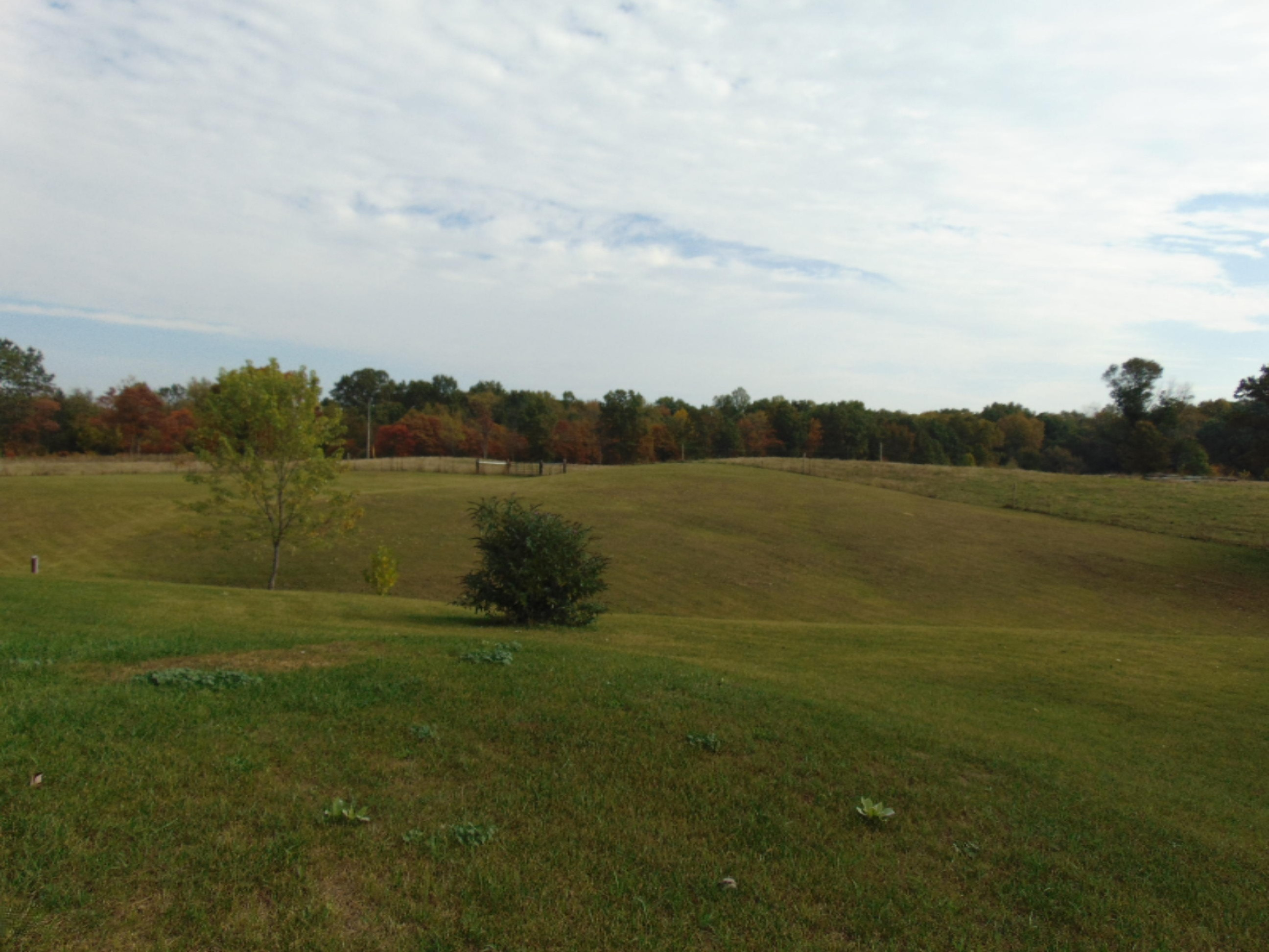 50093 Wickett Road Decatur, MI 49045 - Photo 59 of 65 DSC06462
