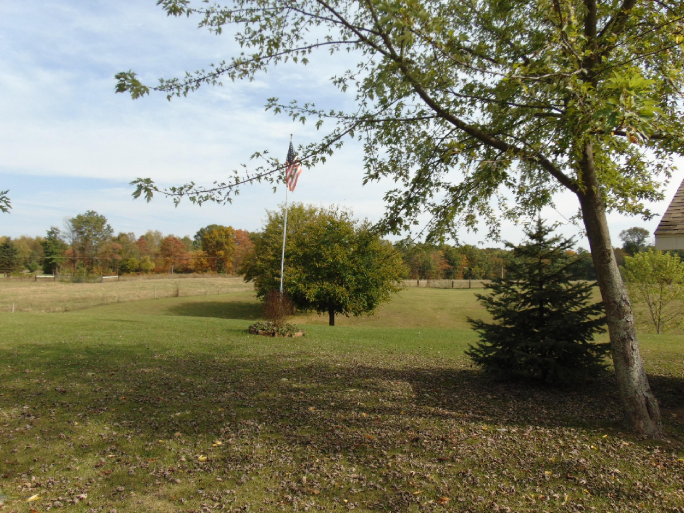 50093 Wickett Road Decatur, MI 49045 - Photo 61 of 65 DSC06515