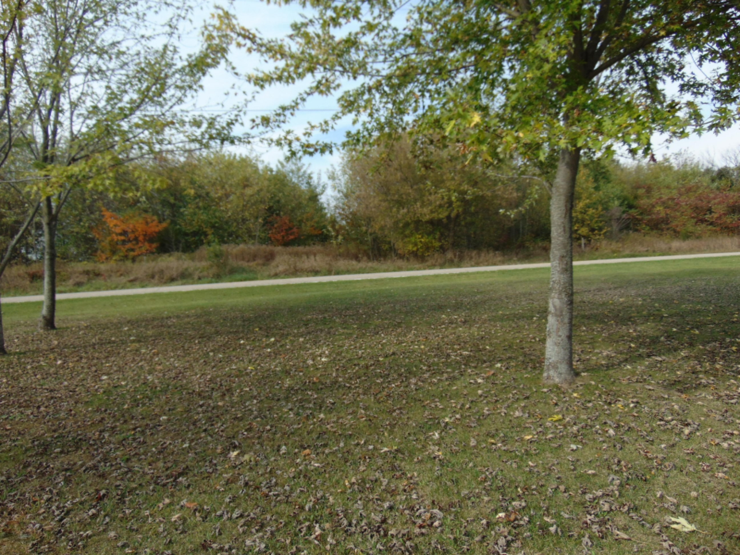 50093 Wickett Road Decatur, MI 49045 - Photo 63 of 65 DSC06517