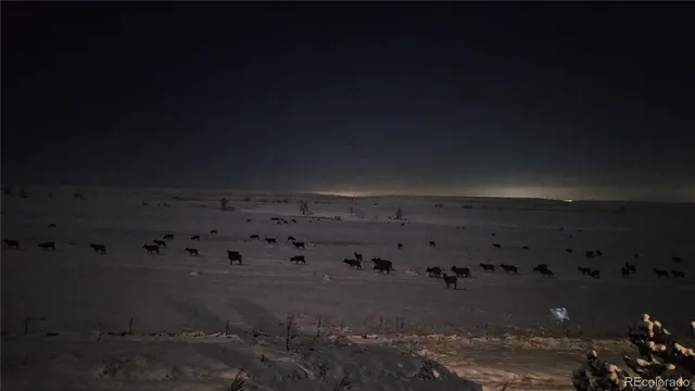 $995,000 | 15709 West 95th Place, Arvada, CO 80007