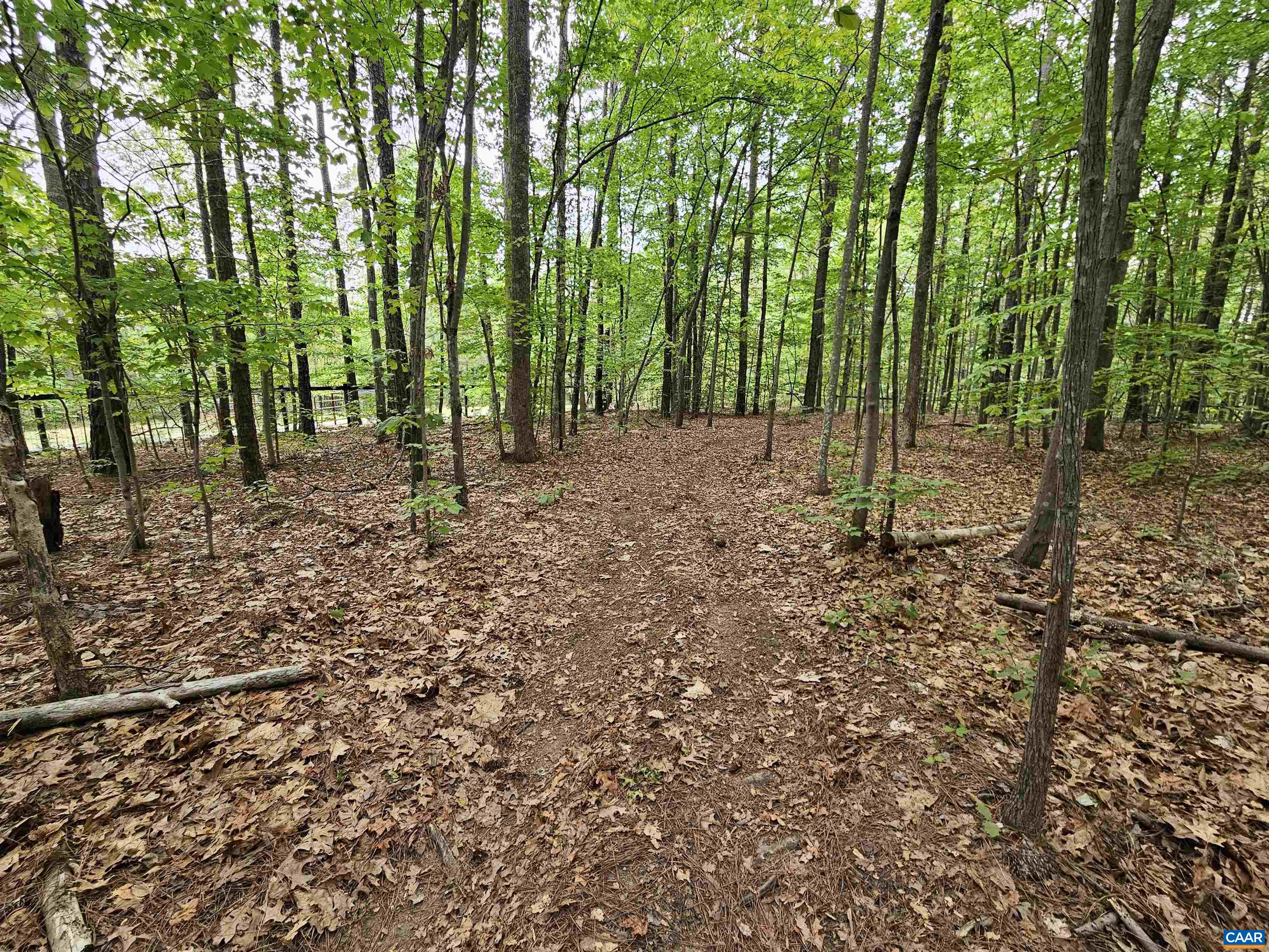 981 Scotts Bottom Road Dillwyn, VA 23936 - Photo 47 of 62 a view of outdoor space with trees