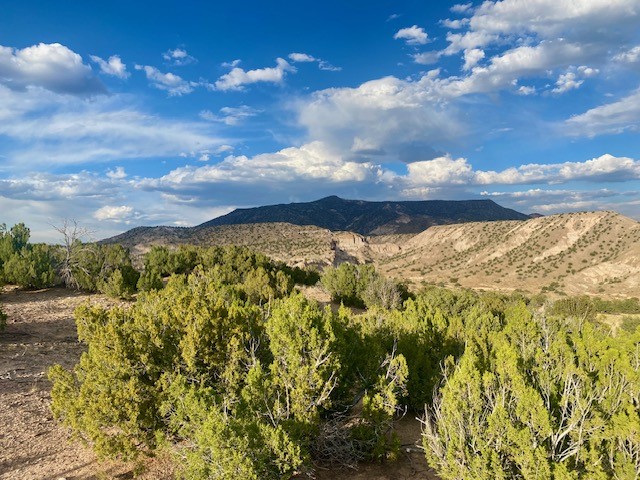 Lot 79 County Road Abiquiu, NM 87510 - Photo 3 of 11
