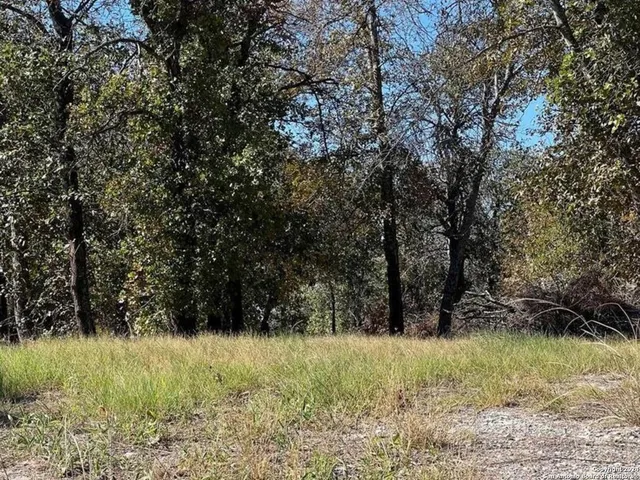 $89,512 | 267 County Road 6861, Natalia, TX 78059