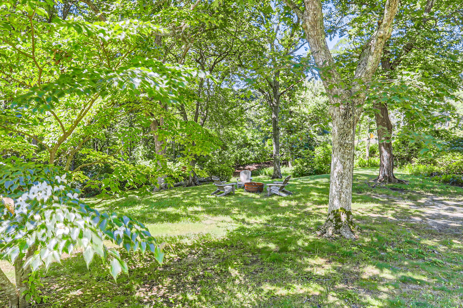3 Fulling Mill Road Chilmark, MA 02535 - Photo 48 of 48 a backyard of a house with lots of plants and trees