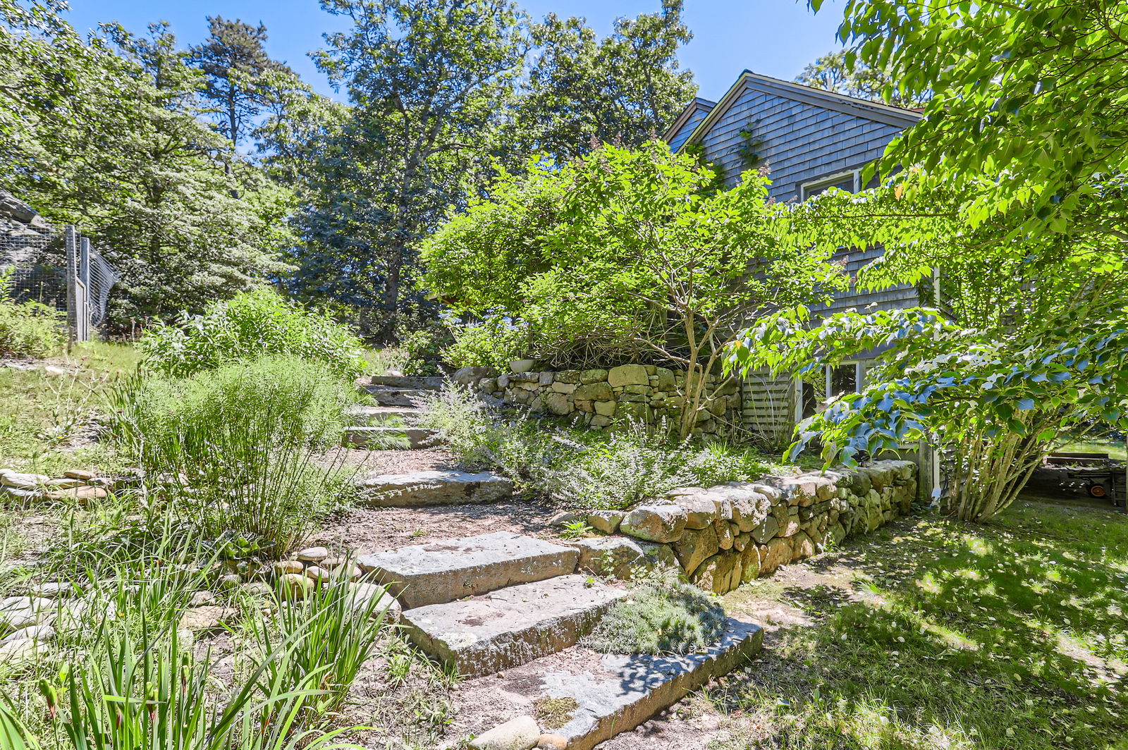3 Fulling Mill Road Chilmark, MA 02535 - Photo 8 of 48 a view of a yard with plants and large trees