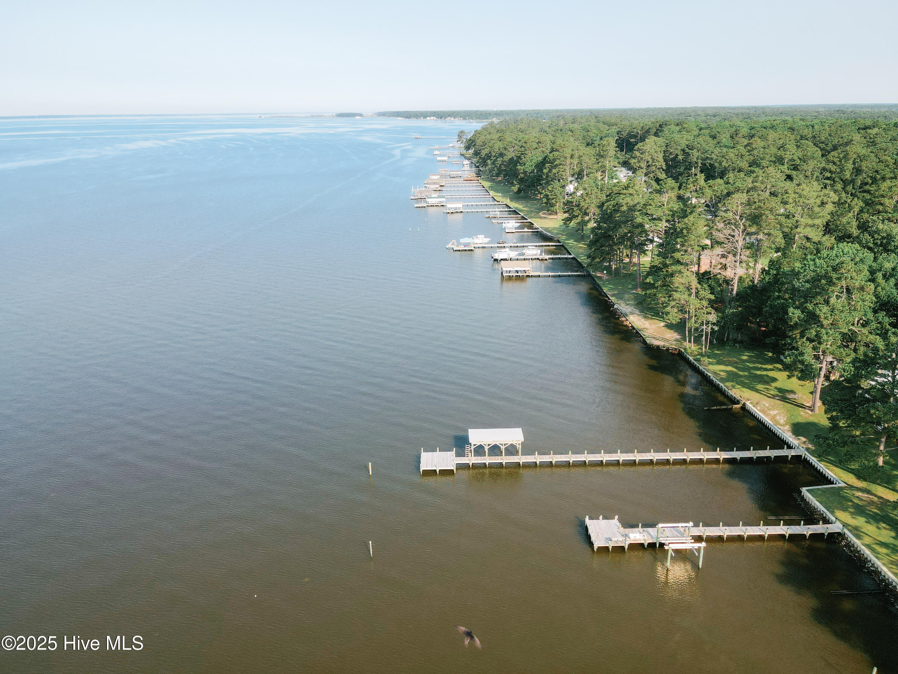1197 Pinecrest Road Bath, NC 27808 - Photo 59 of 63 Aerial