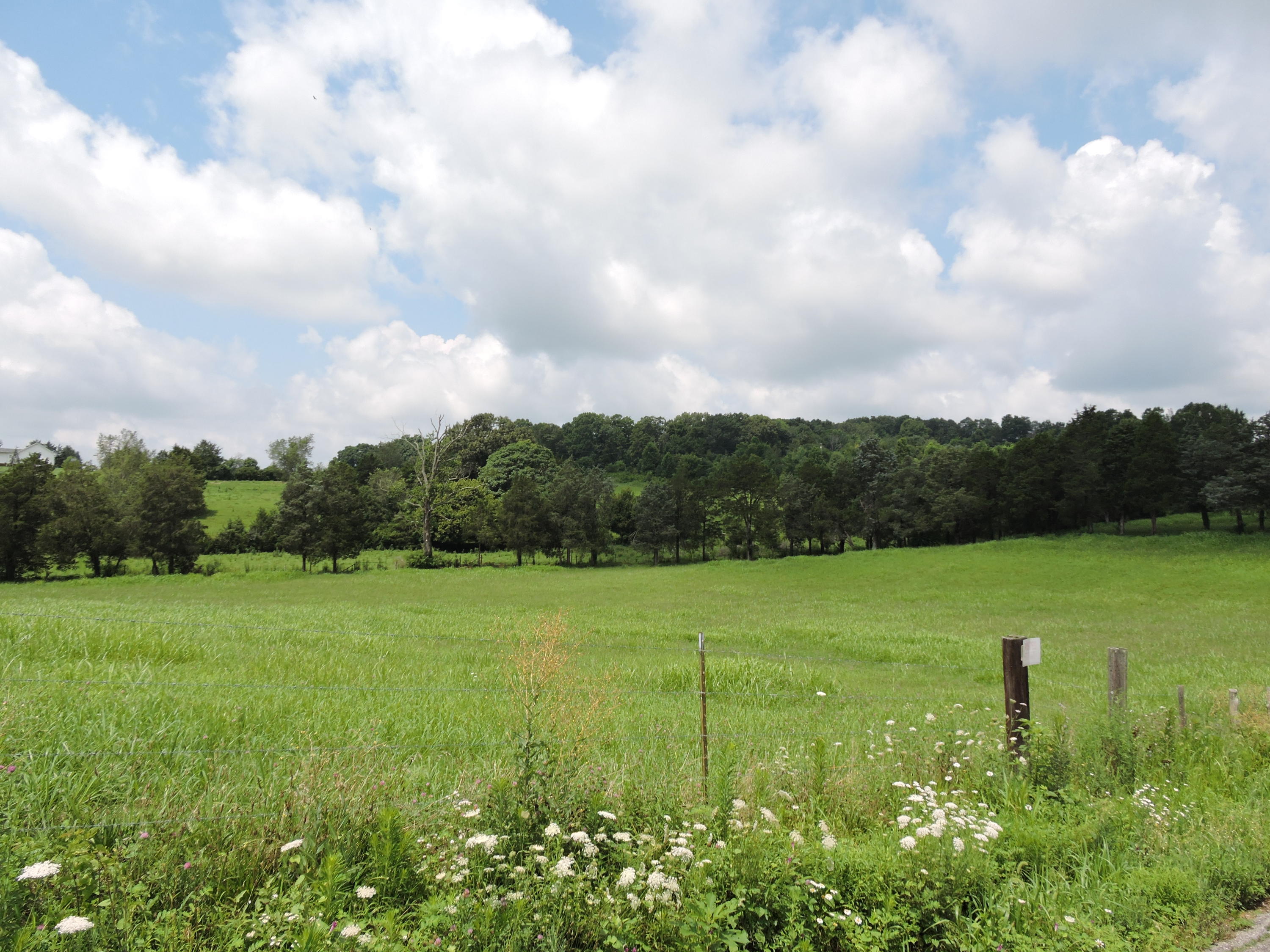 7929 Barker Road Corryton, TN 37721 - Photo 11 of 20 012