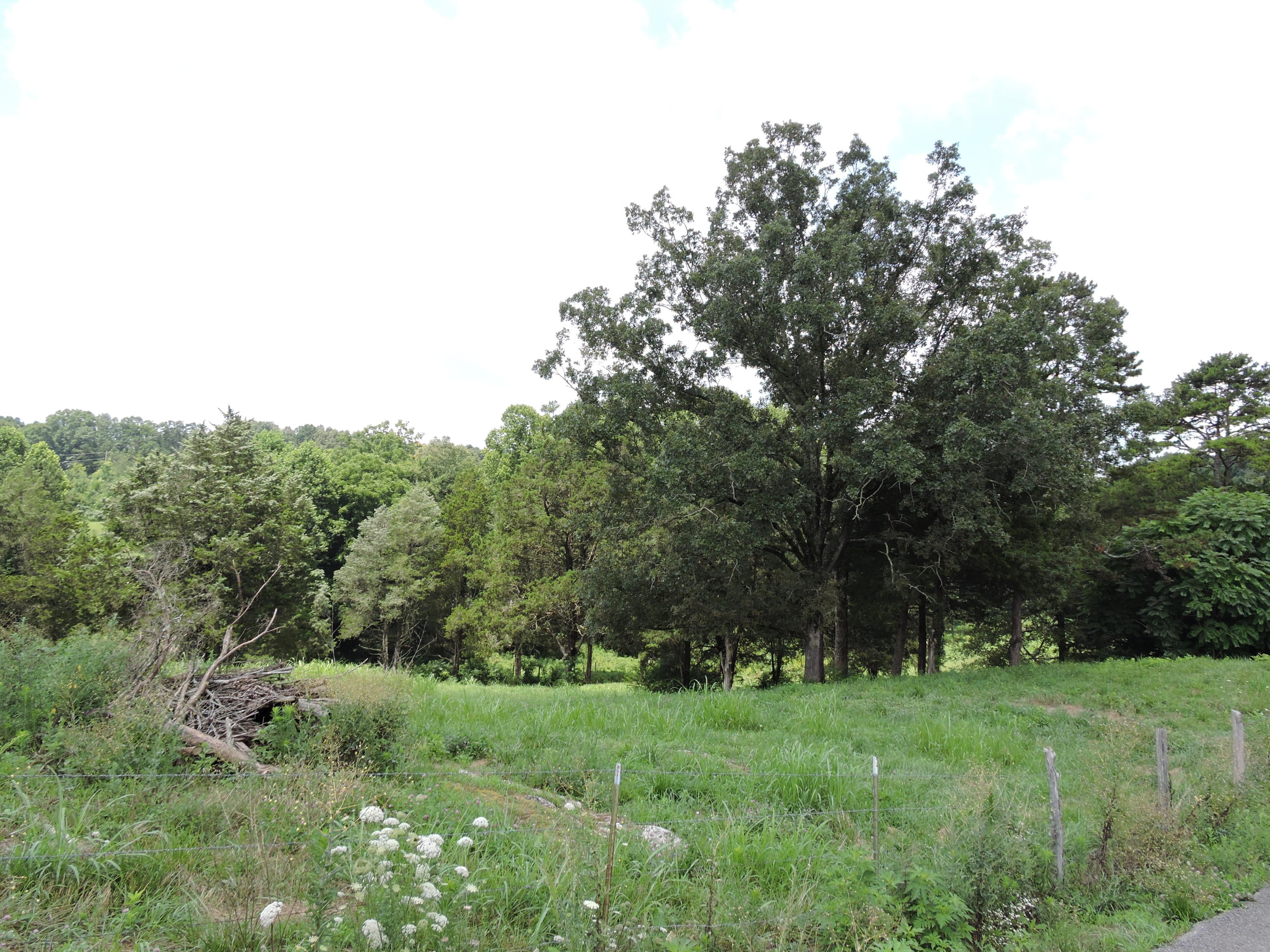 7929 Barker Road Corryton, TN 37721 - Photo 12 of 20 013
