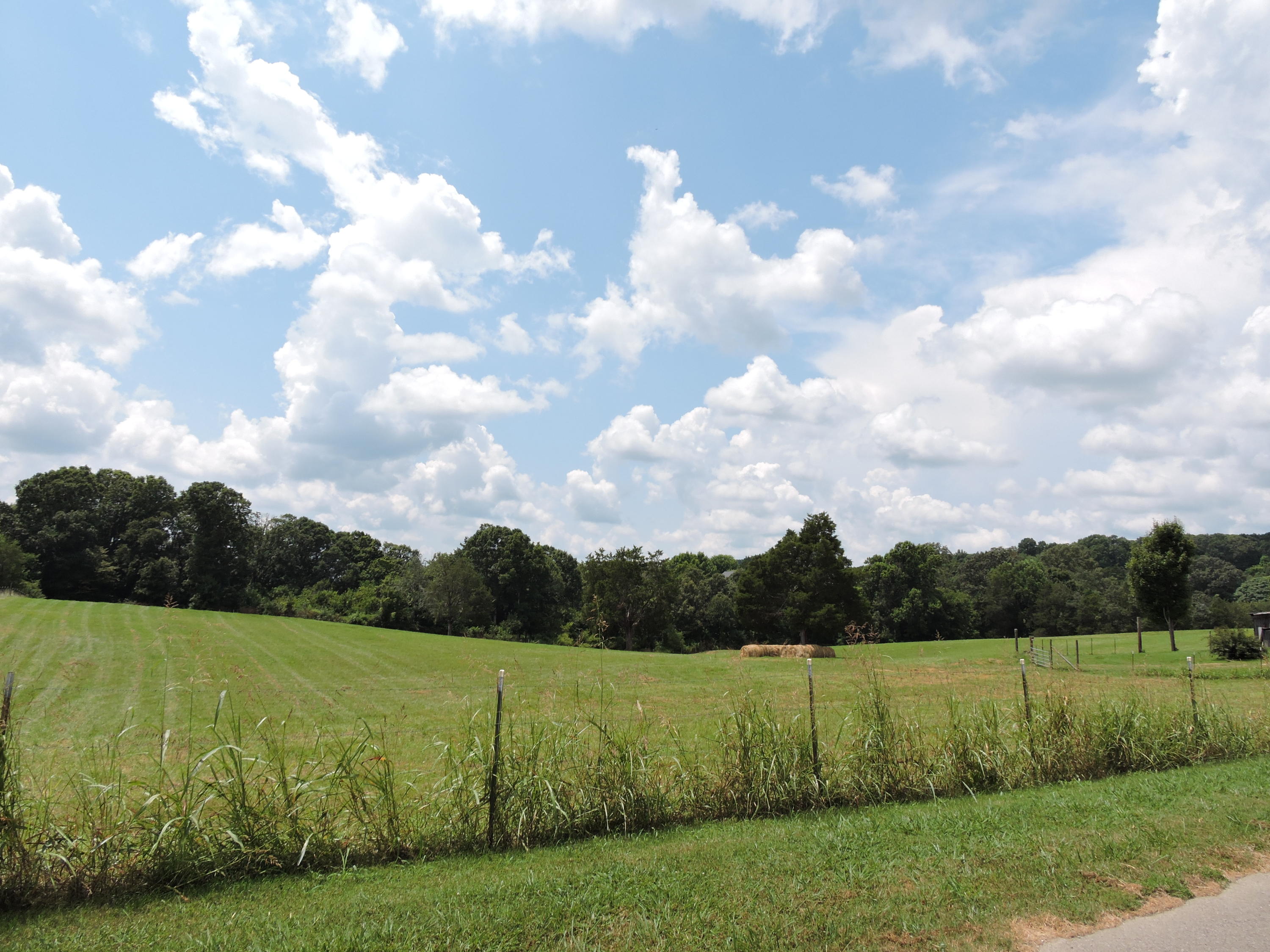 7929 Barker Road Corryton, TN 37721 - Photo 13 of 20 001