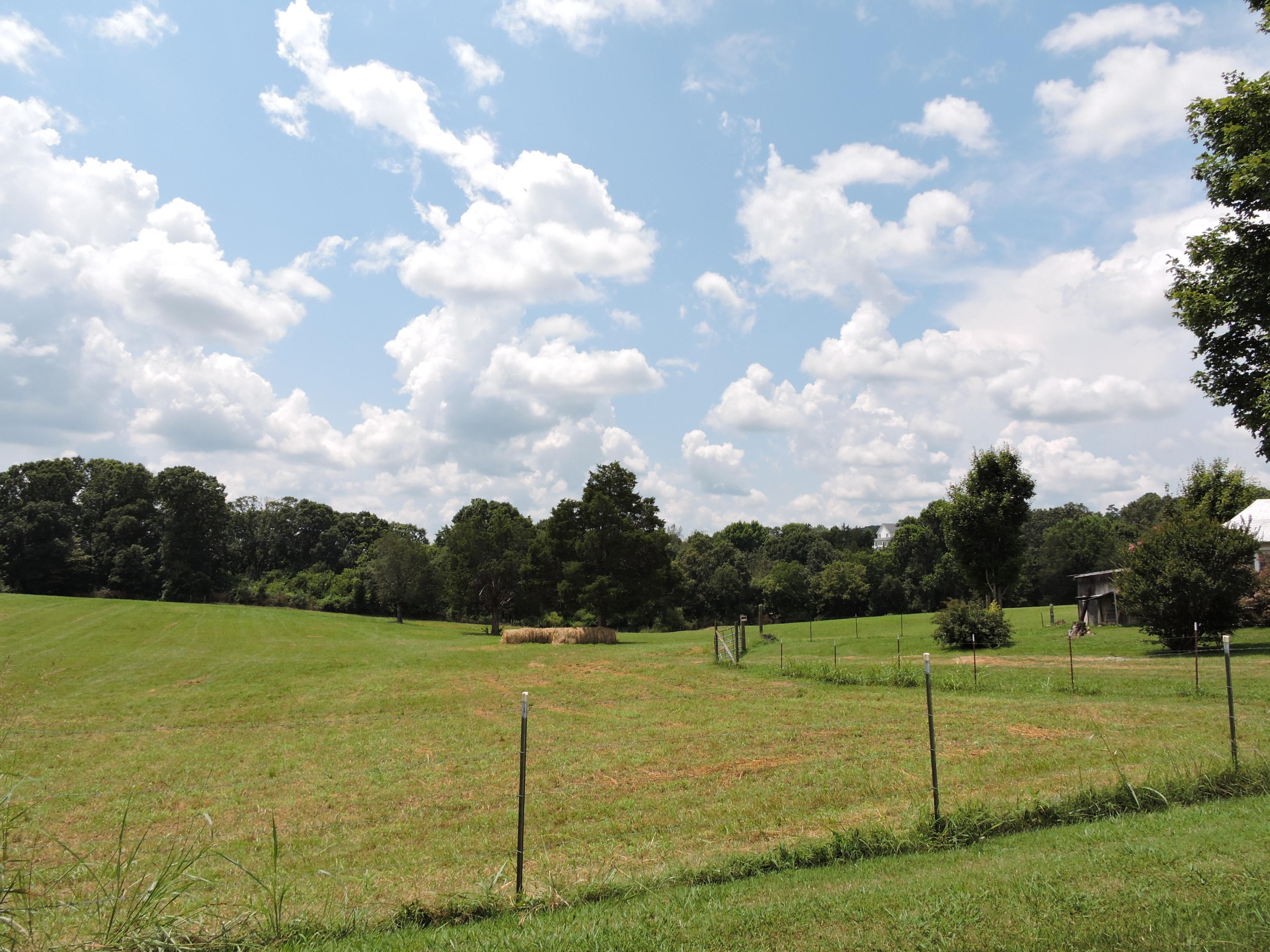 7929 Barker Road Corryton, TN 37721 - Photo 14 of 20 002
