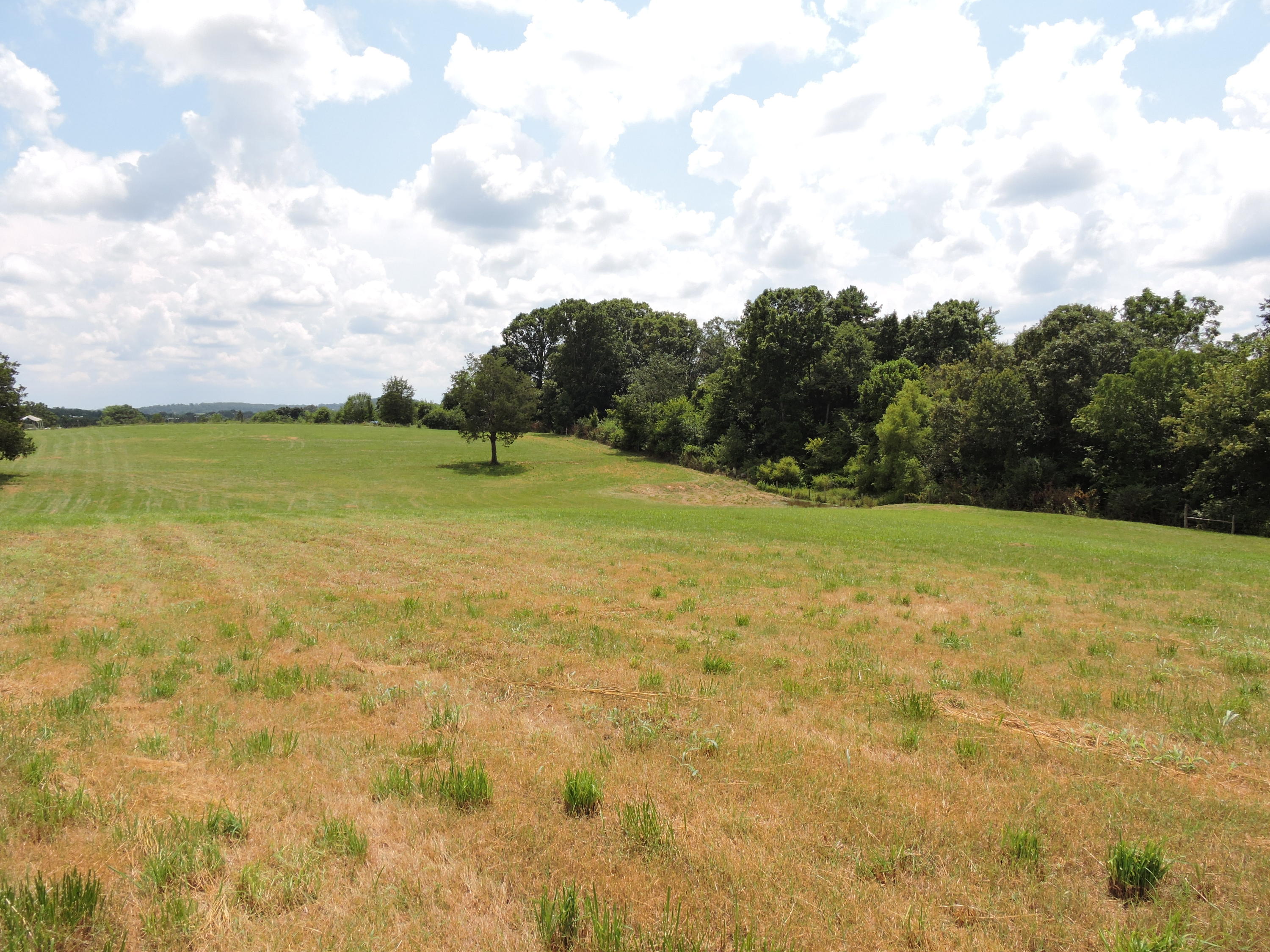 7929 Barker Road Corryton, TN 37721 - Photo 15 of 20 004