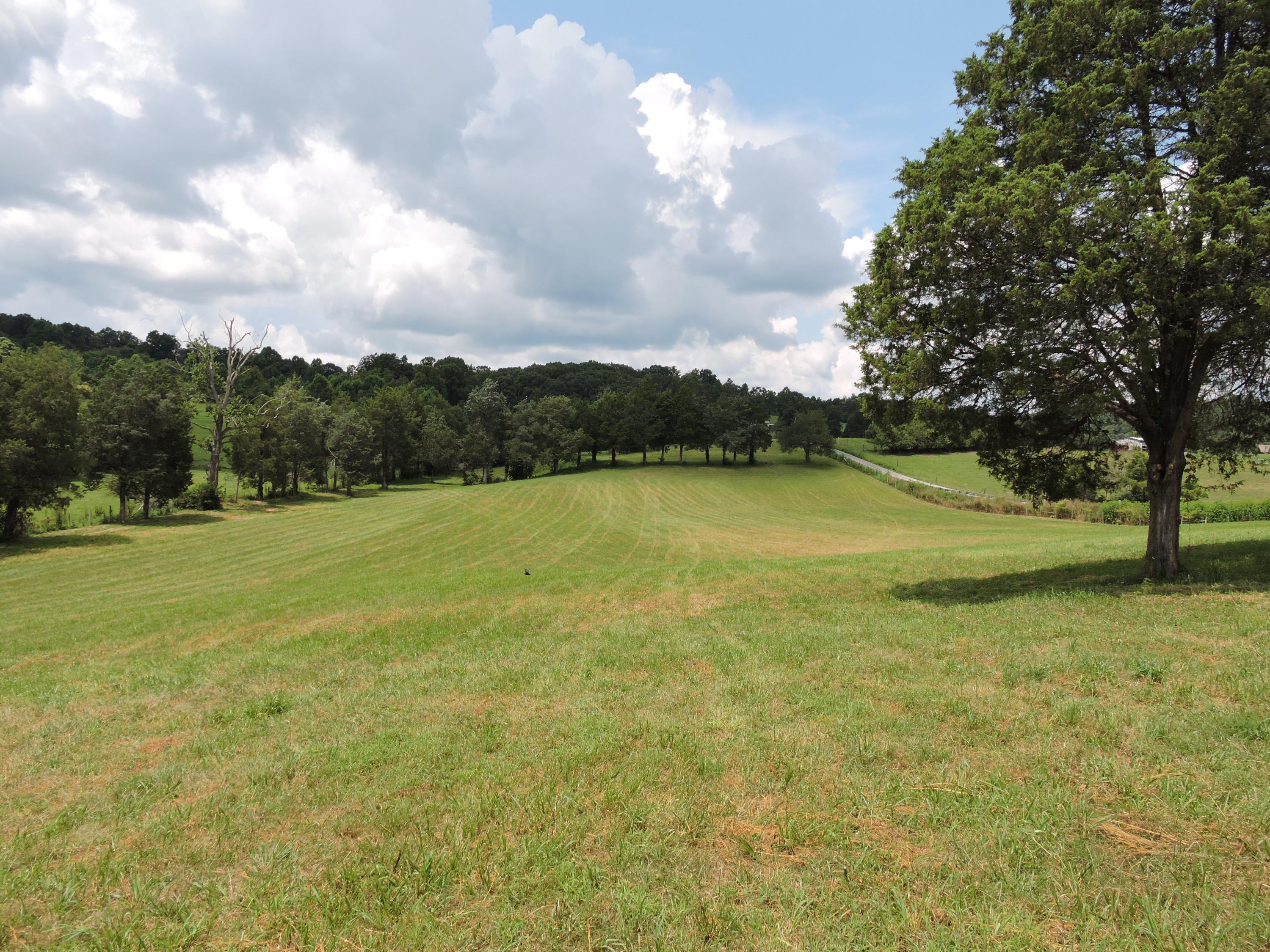 7929 Barker Road Corryton, TN 37721 - Photo 16 of 20 005