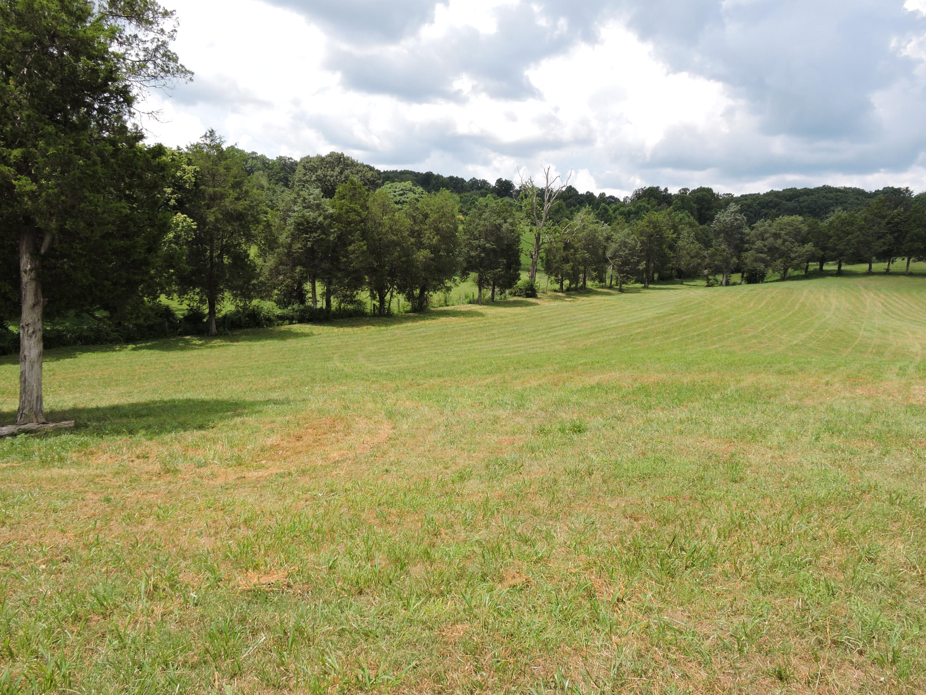 7929 Barker Road Corryton, TN 37721 - Photo 17 of 20 006