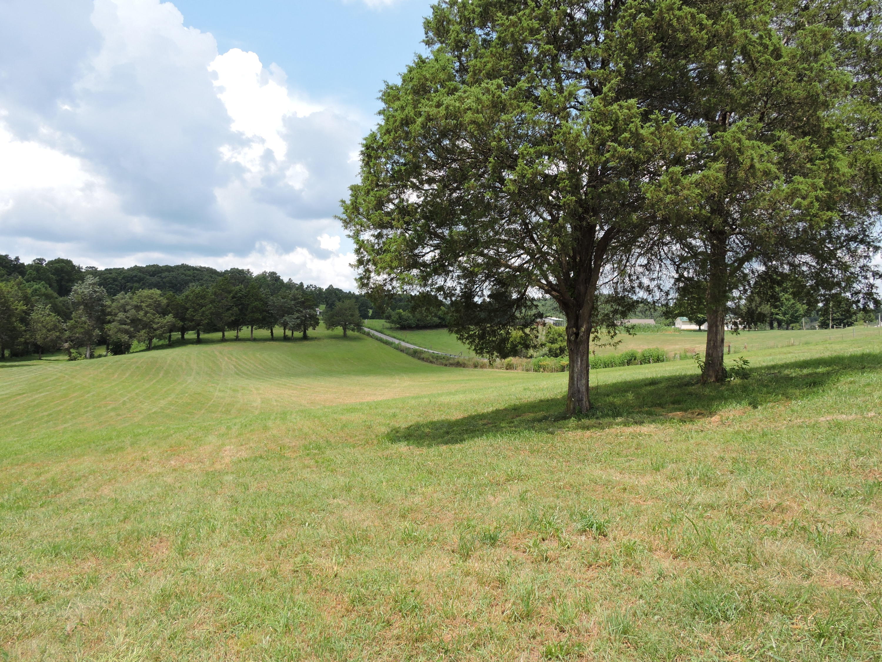 7929 Barker Road Corryton, TN 37721 - Photo 18 of 20 009