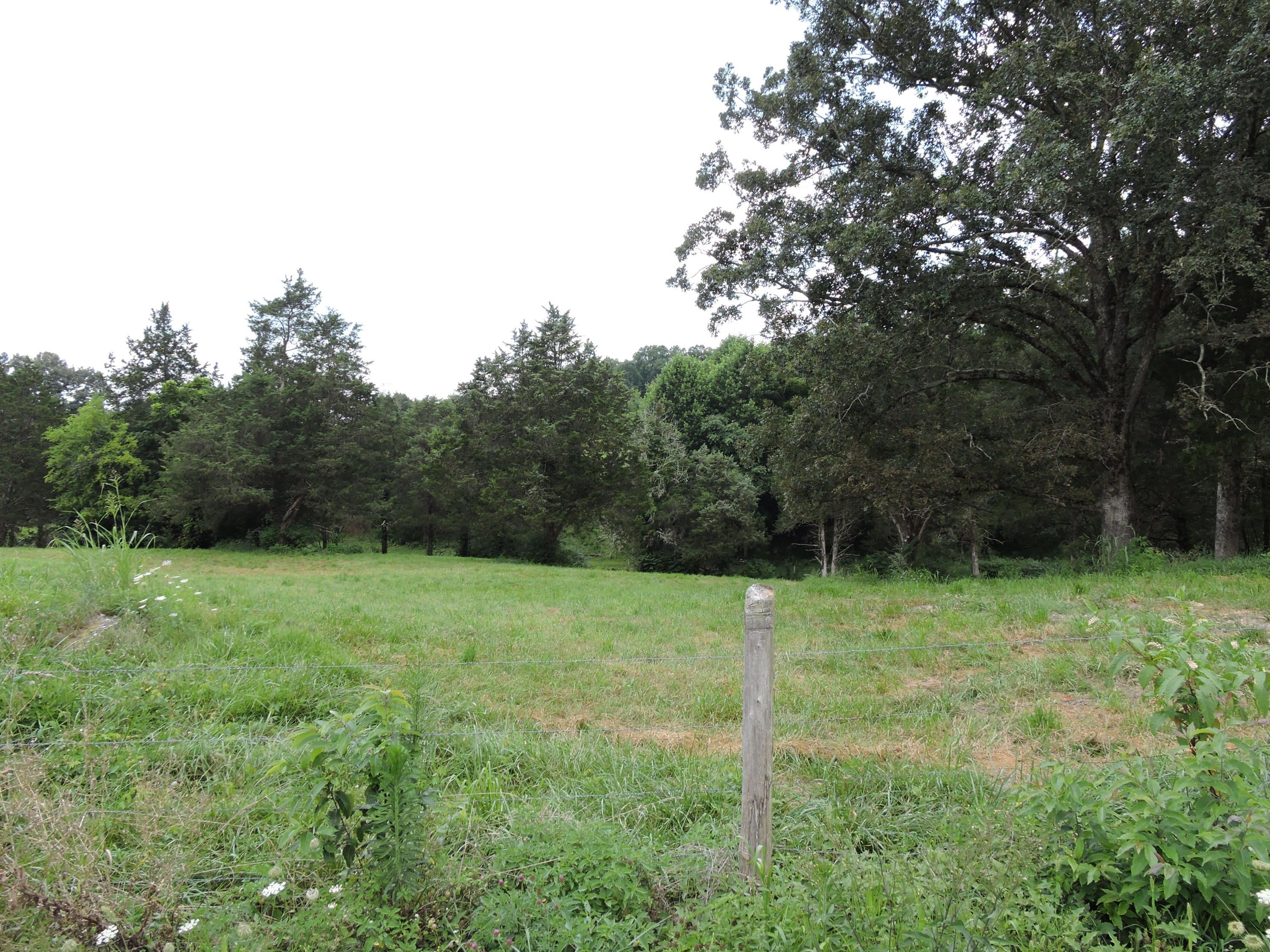 7929 Barker Road Corryton, TN 37721 - Photo 19 of 20 011
