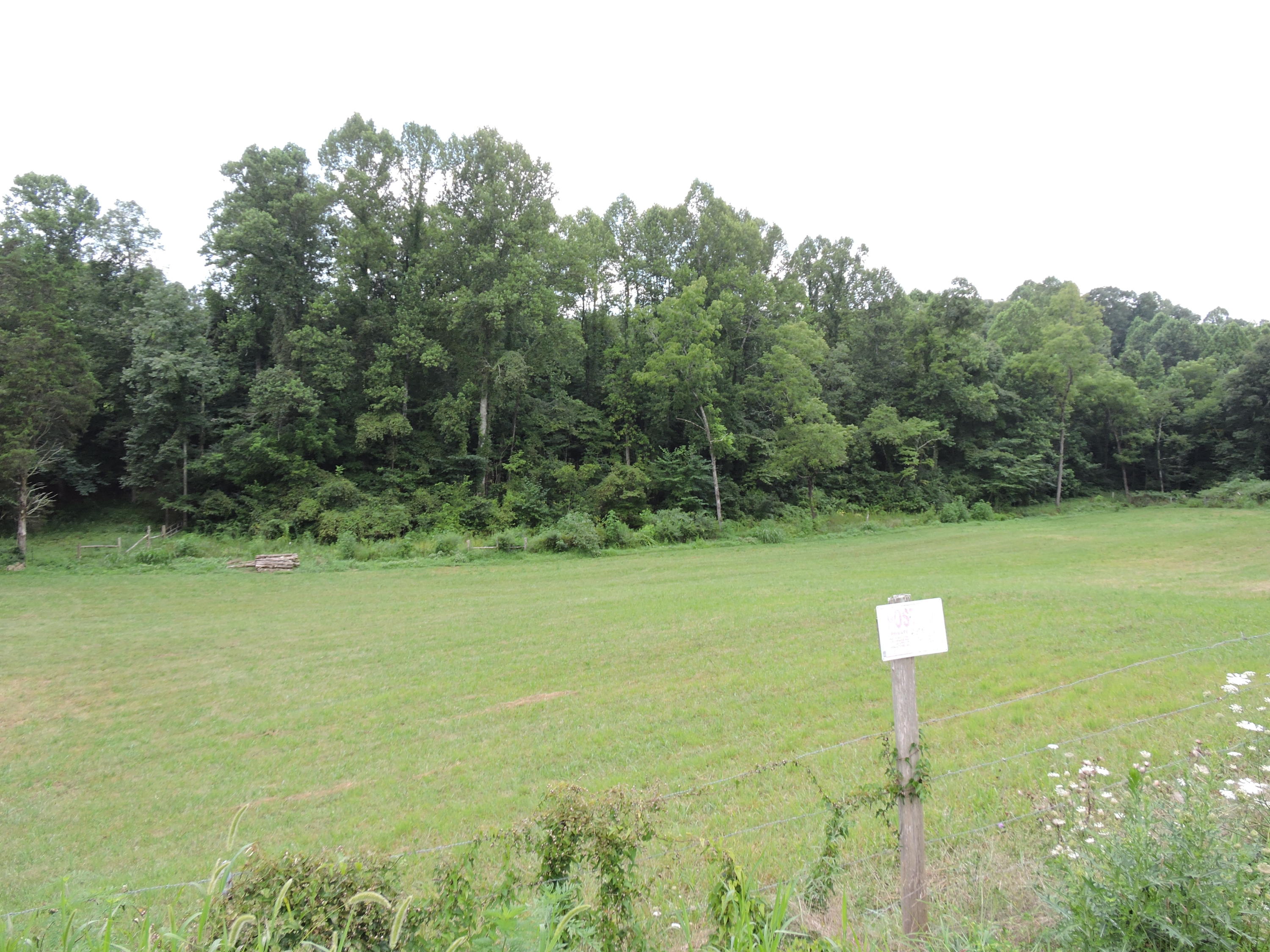 7929 Barker Road Corryton, TN 37721 - Photo 20 of 20 012