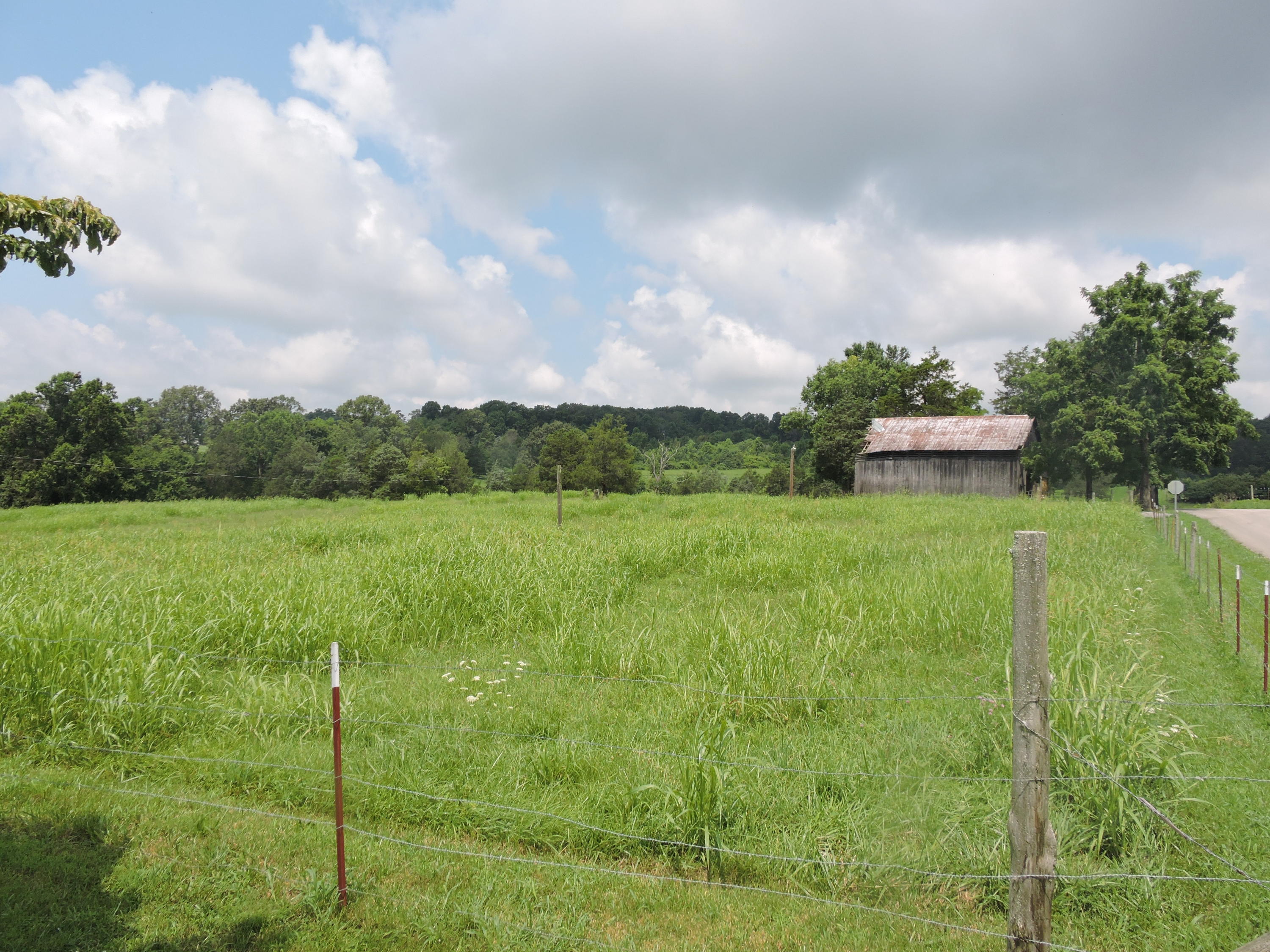 7929 Barker Road Corryton, TN 37721 - Photo 6 of 20 001