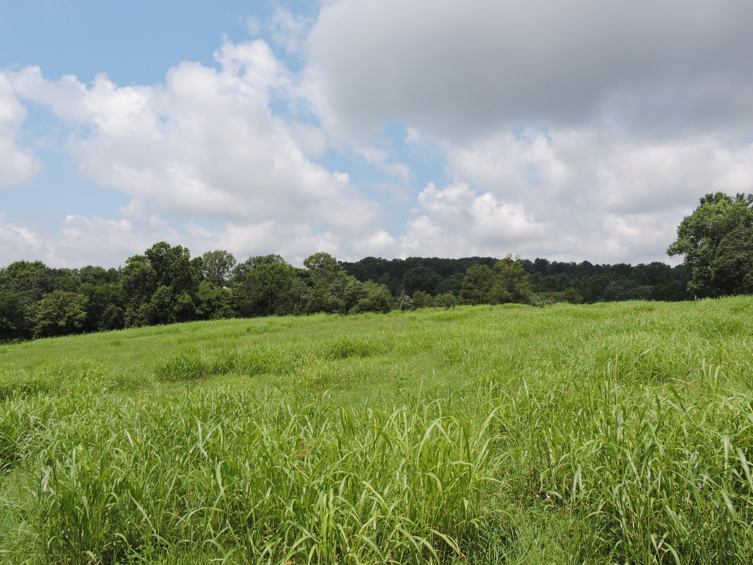 7929 Barker Road Corryton, TN 37721 - Photo 8 of 20 003