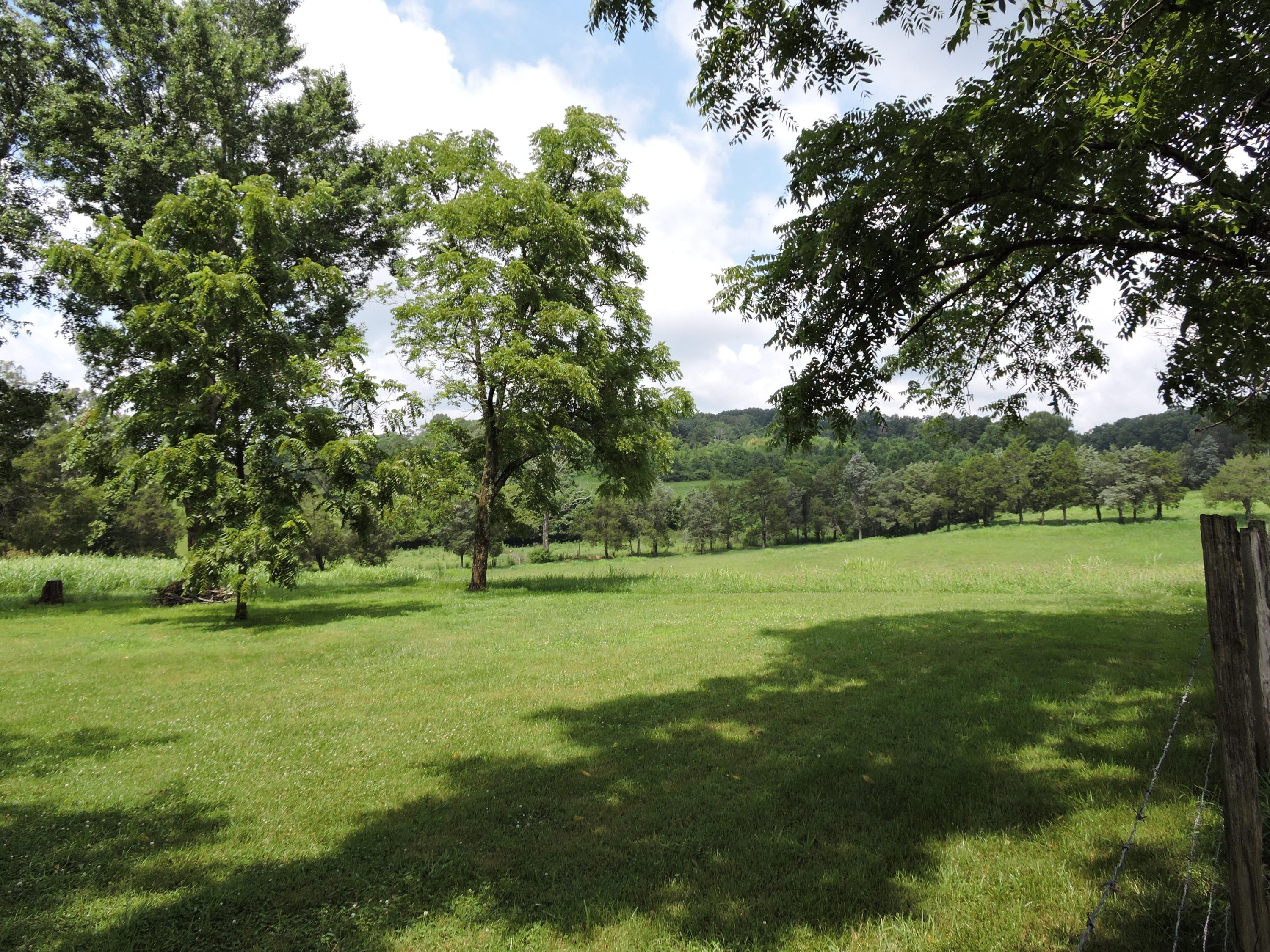 7929 Barker Road Corryton, TN 37721 - Photo 10 of 20 011