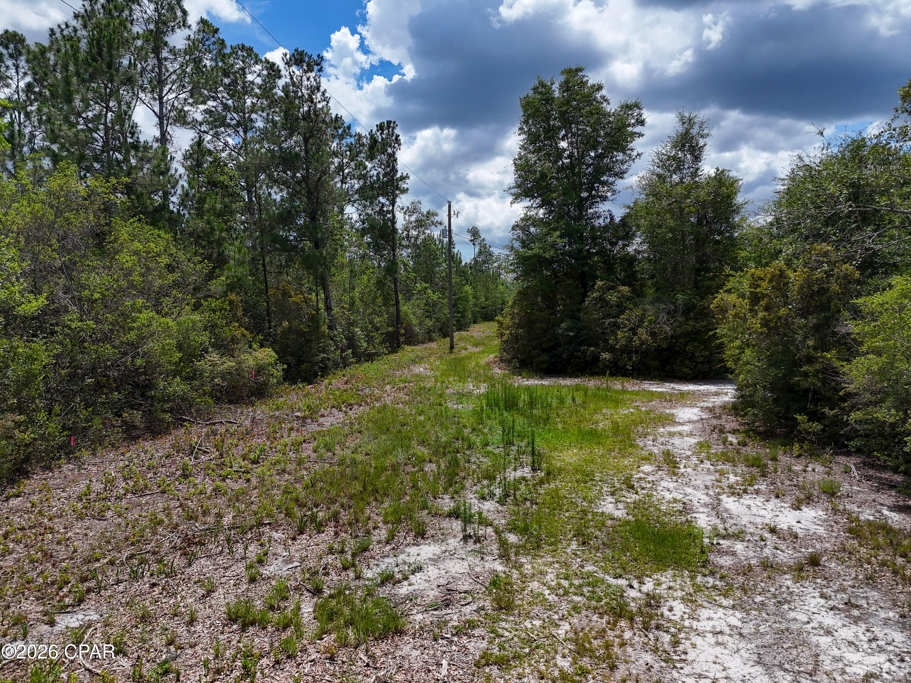 19511 Ross Road Fountain, FL 32438 - Photo 4 of 25