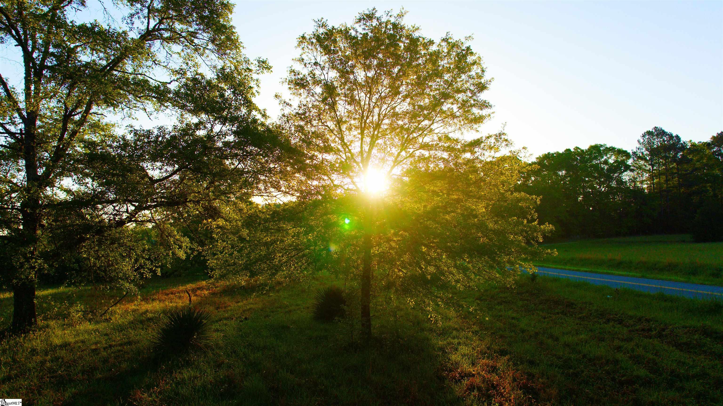 650 Todd Road Honea Path, SC 29654 - Photo 2 of 10