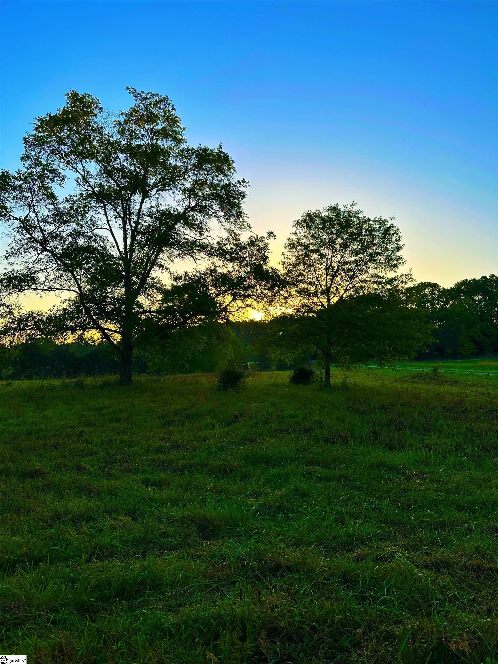 650 Todd Road Honea Path, SC 29654 - Photo 3 of 10