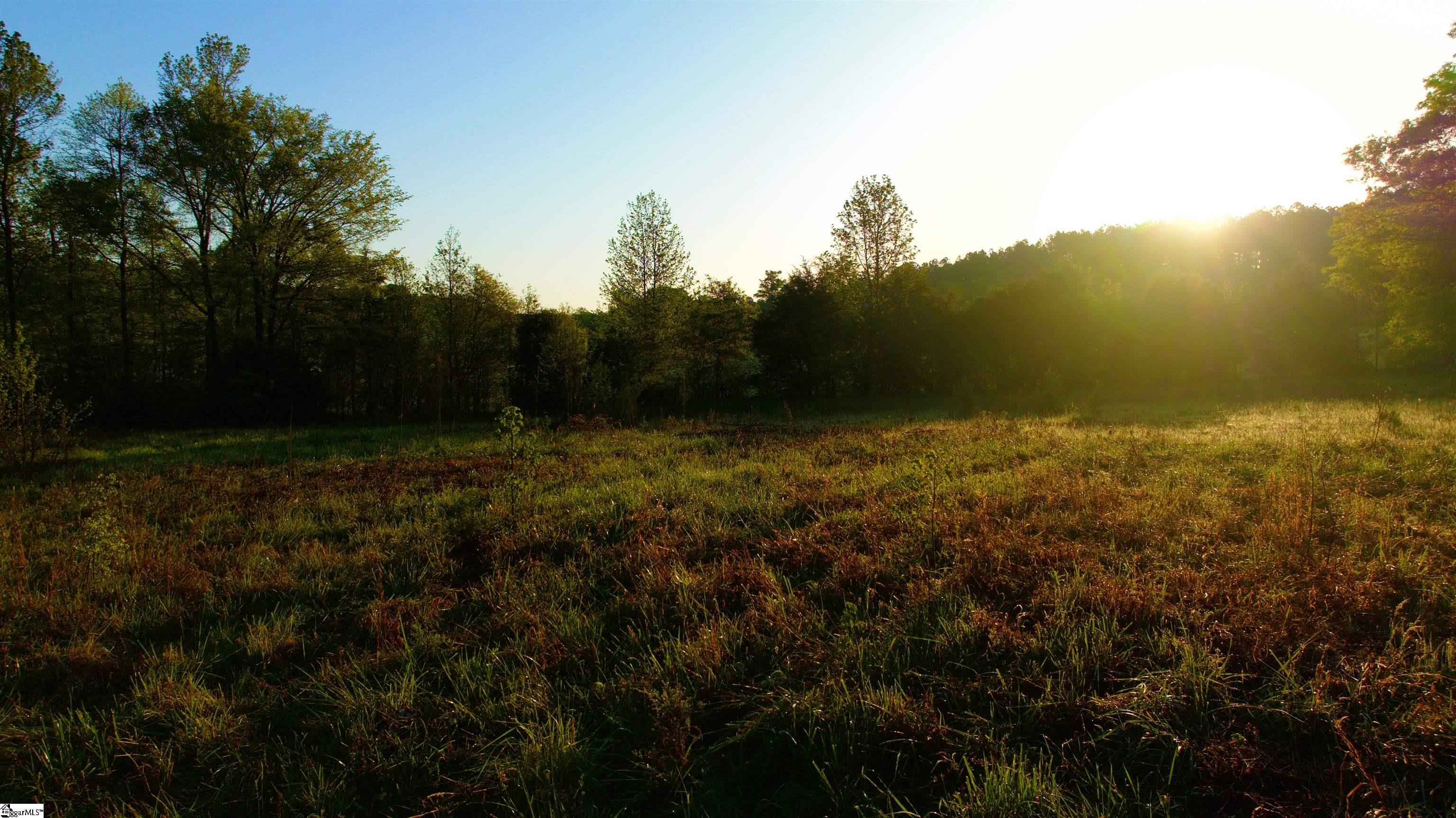 650 Todd Road Honea Path, SC 29654 - Photo 4 of 10