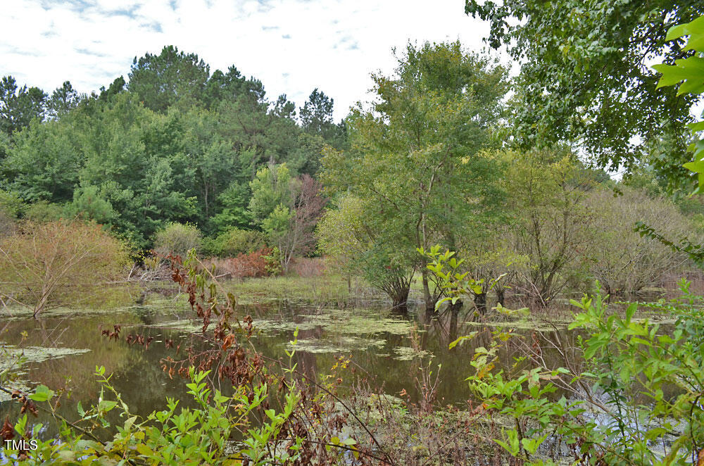 6308 Lancaster Store Road Spring Hope, NC 27882 - Photo 36 of 48 36
