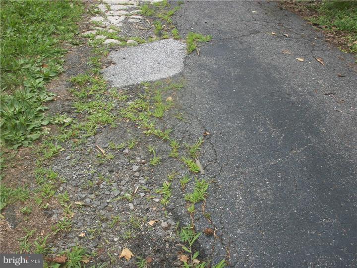530 South Providence Road Wallingford, PA 19086 - Photo 2 of 8 Driveway
