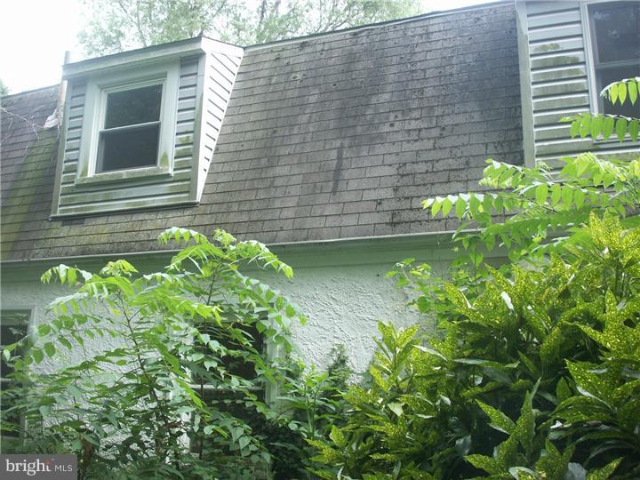 530 South Providence Road Wallingford, PA 19086 - Photo 7 of 8 Exterior Back